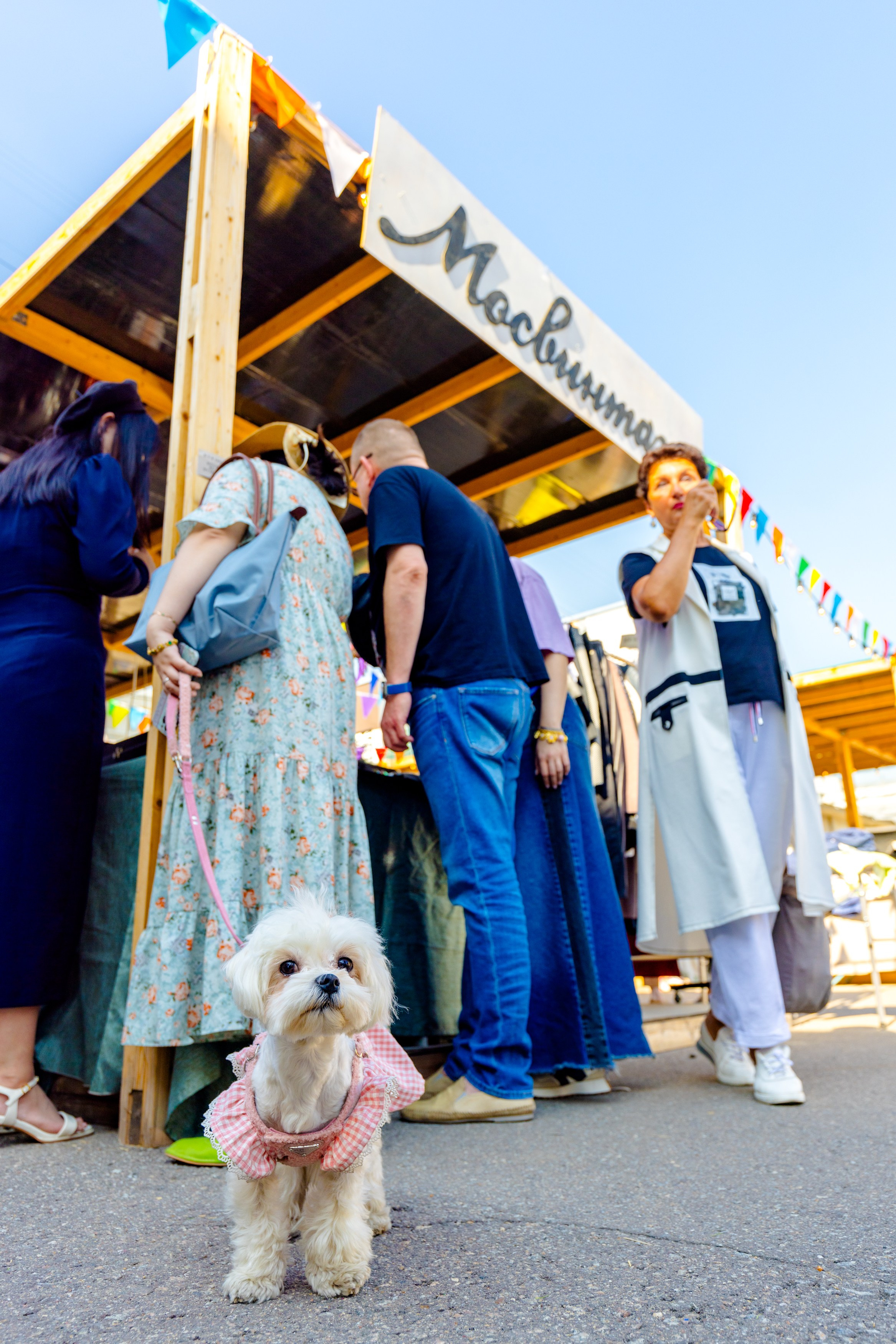 День города в Музее Москвы 2024. Виктория Зудина — фотограф в Москве