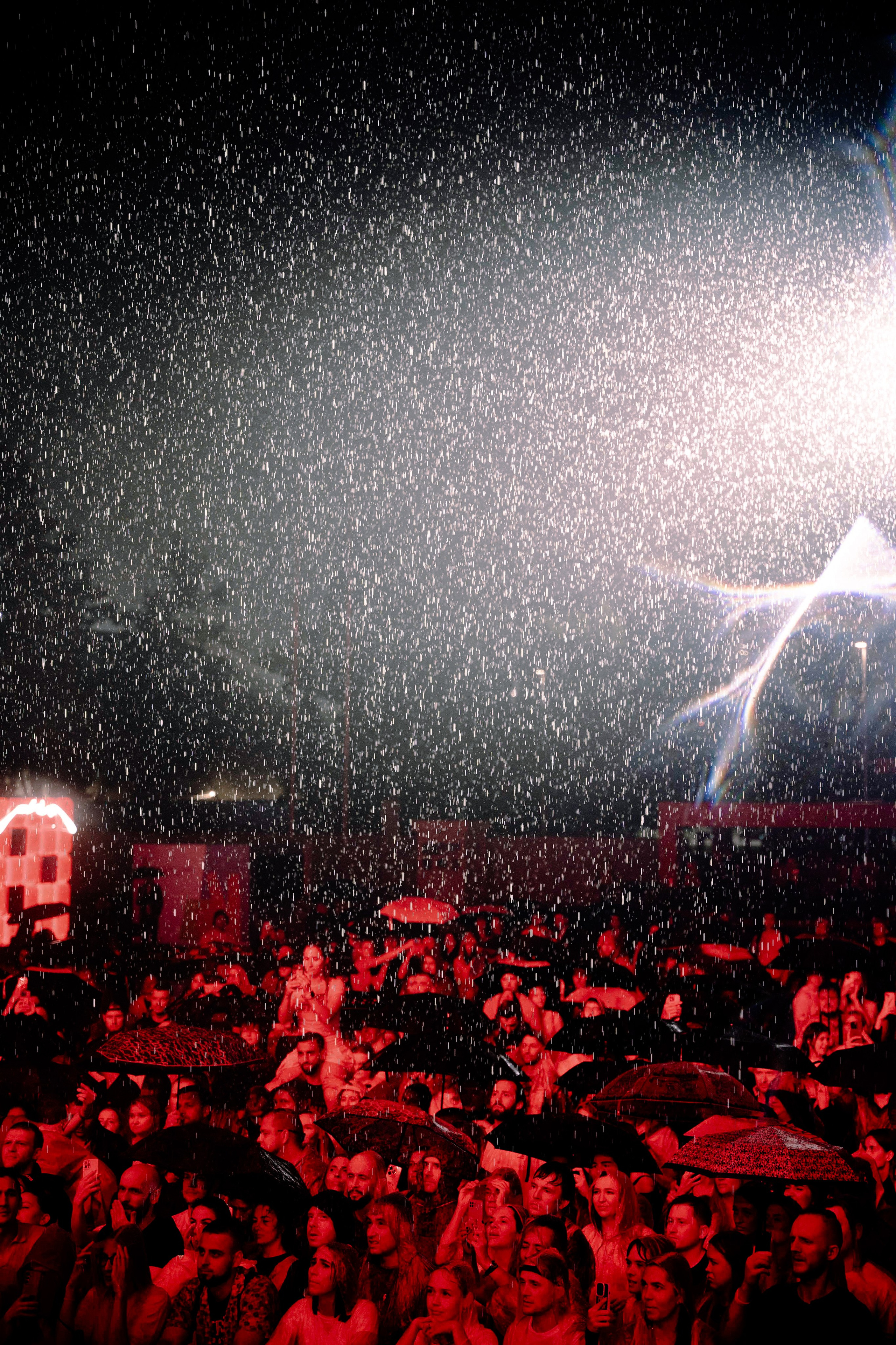 LOC-DOG. Фотограф Москва