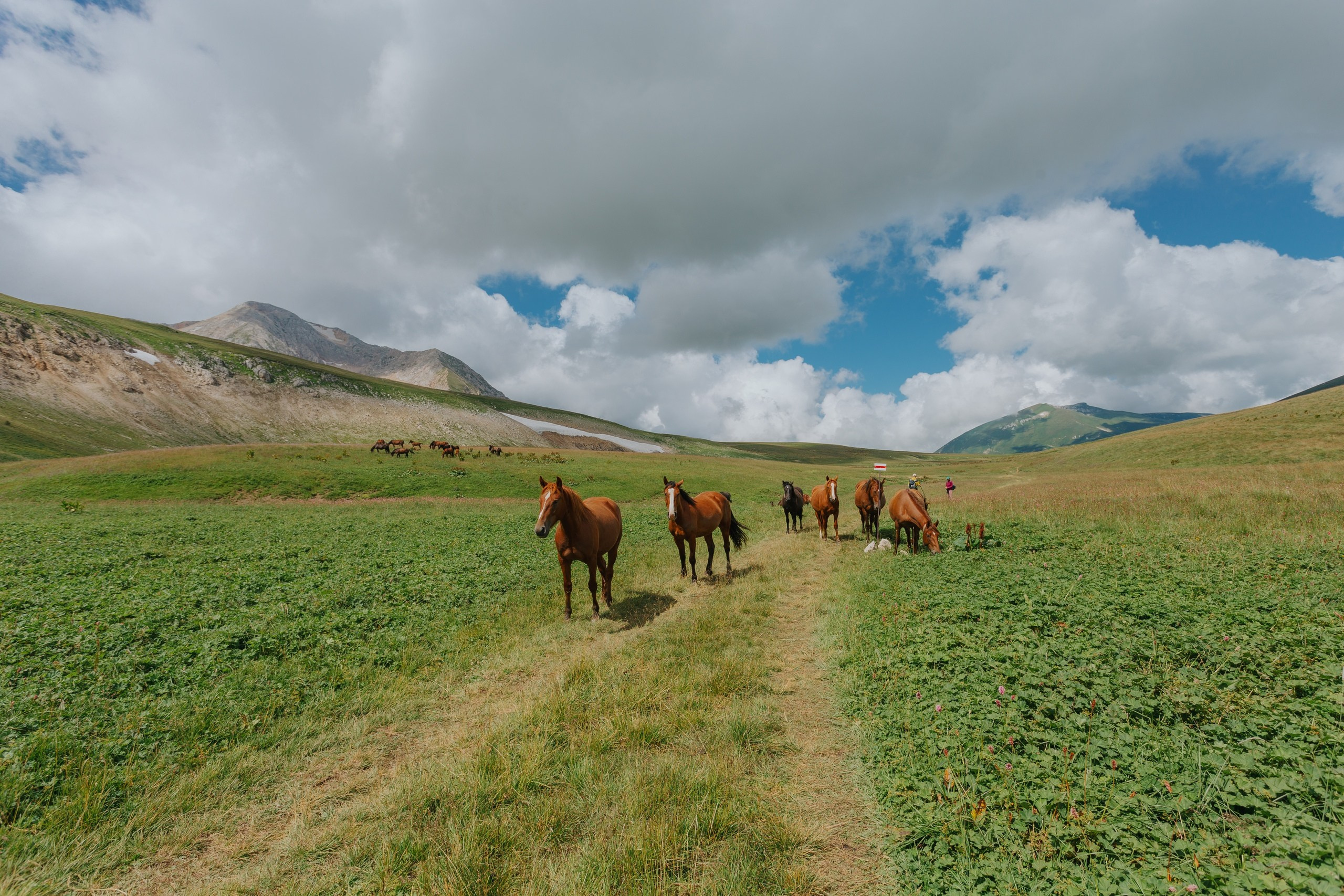 Фотопроект «Заповедный репортаж». Репортажный фотограф в Крыму Ксения Гасица
