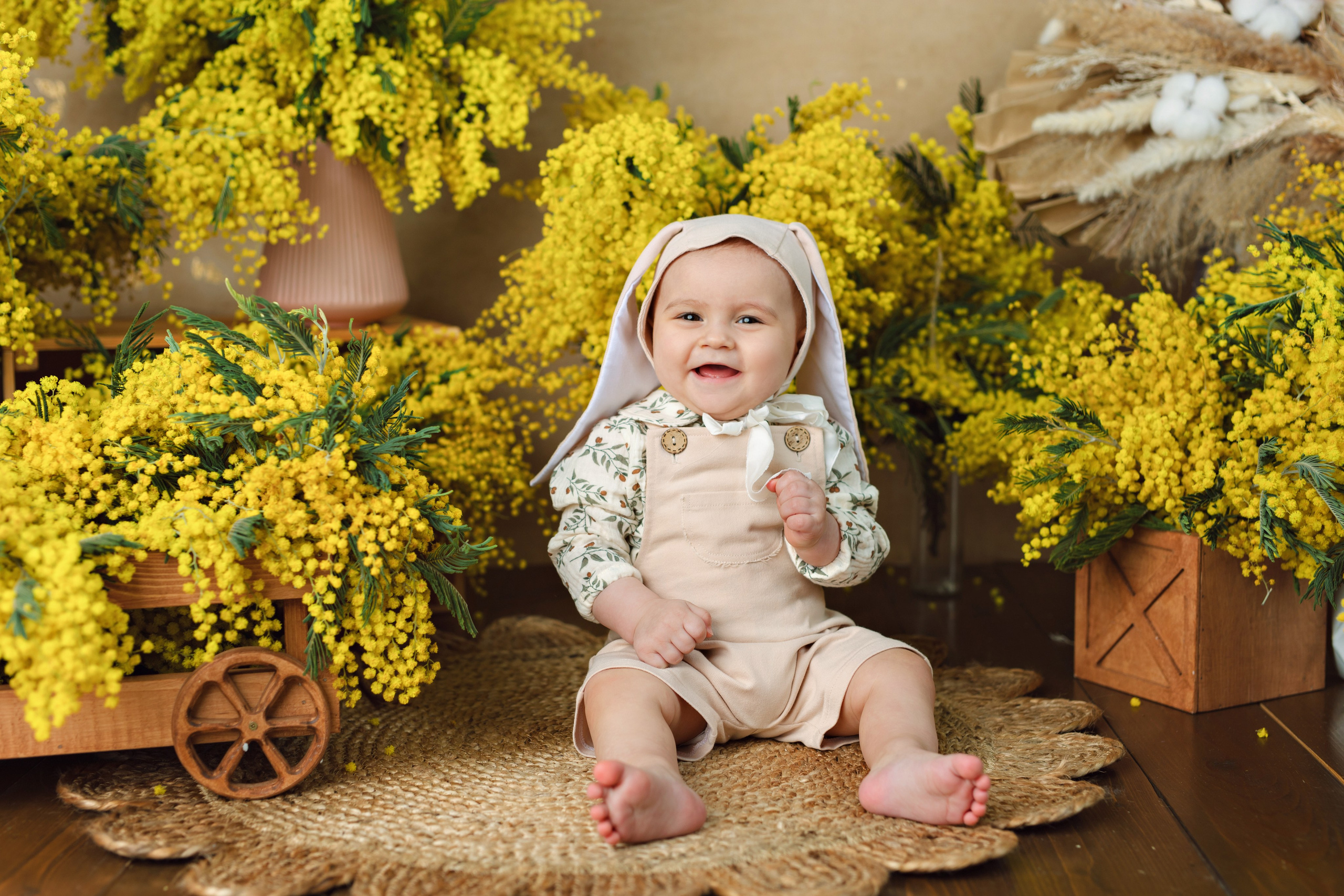 Мимозы. Фотограф Болотова Иветта