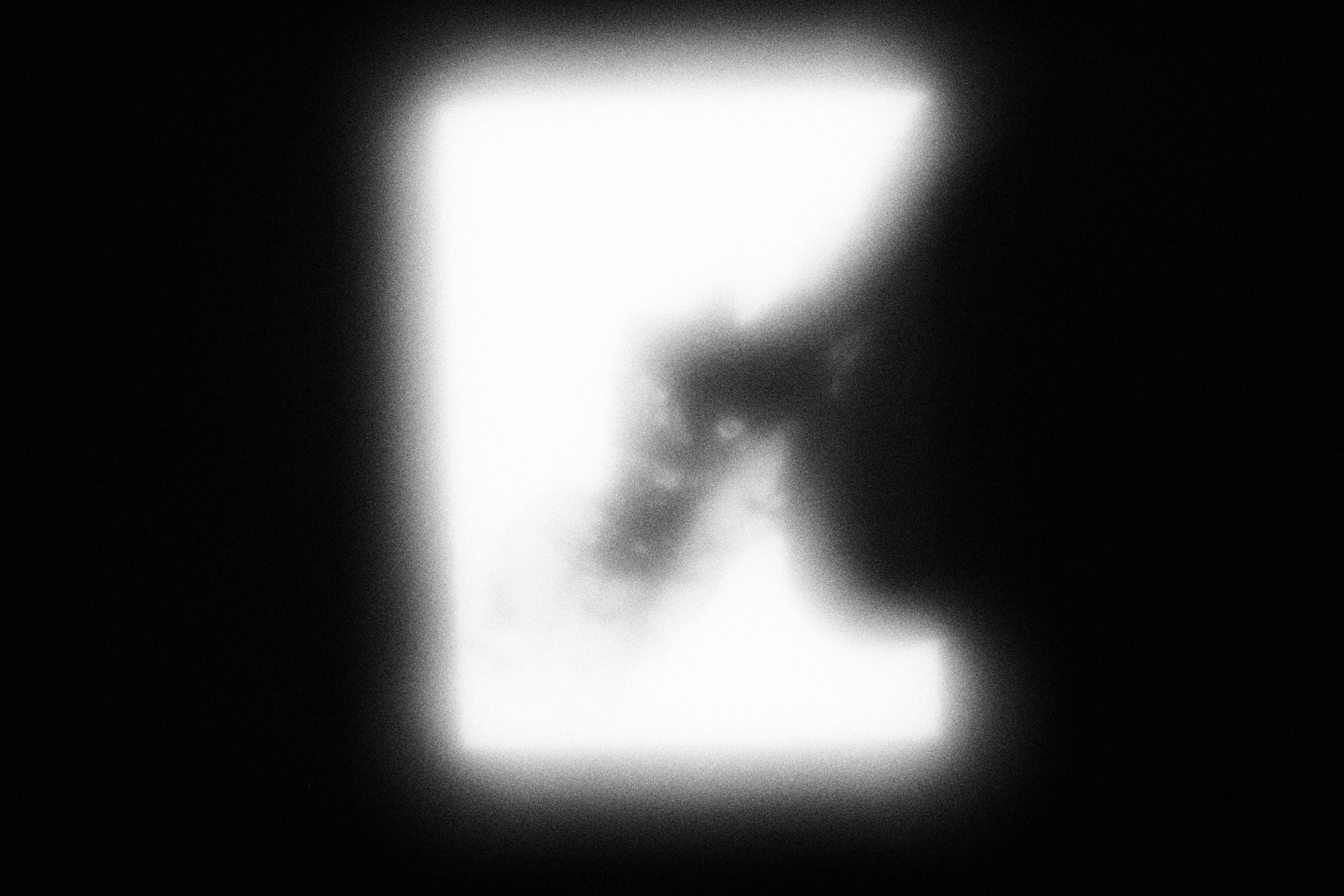 Маленькие искусства и я, Полина Шадрина