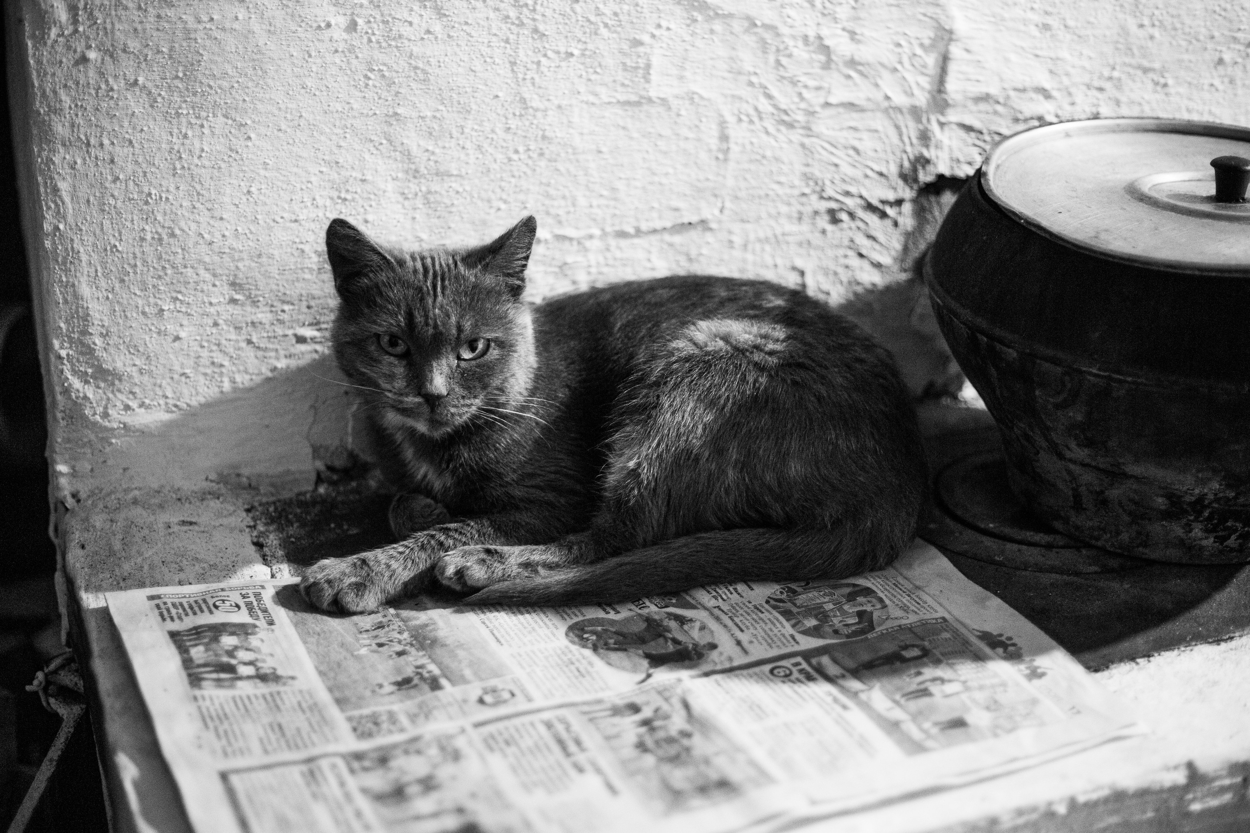 Фотографический проект "Женщина". Софья Федотова — продюсер, тренер киноактеров