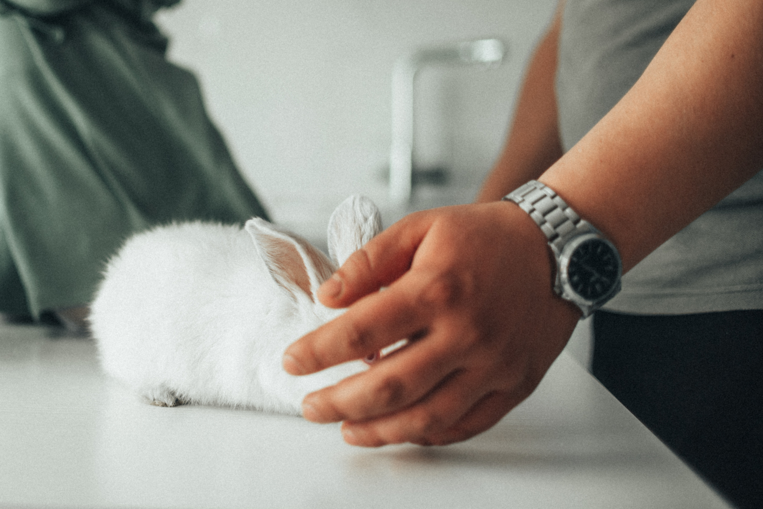 Семейная Фотосессия День рождения Амина. Фотограф|КРЫМ| Владимир Комок