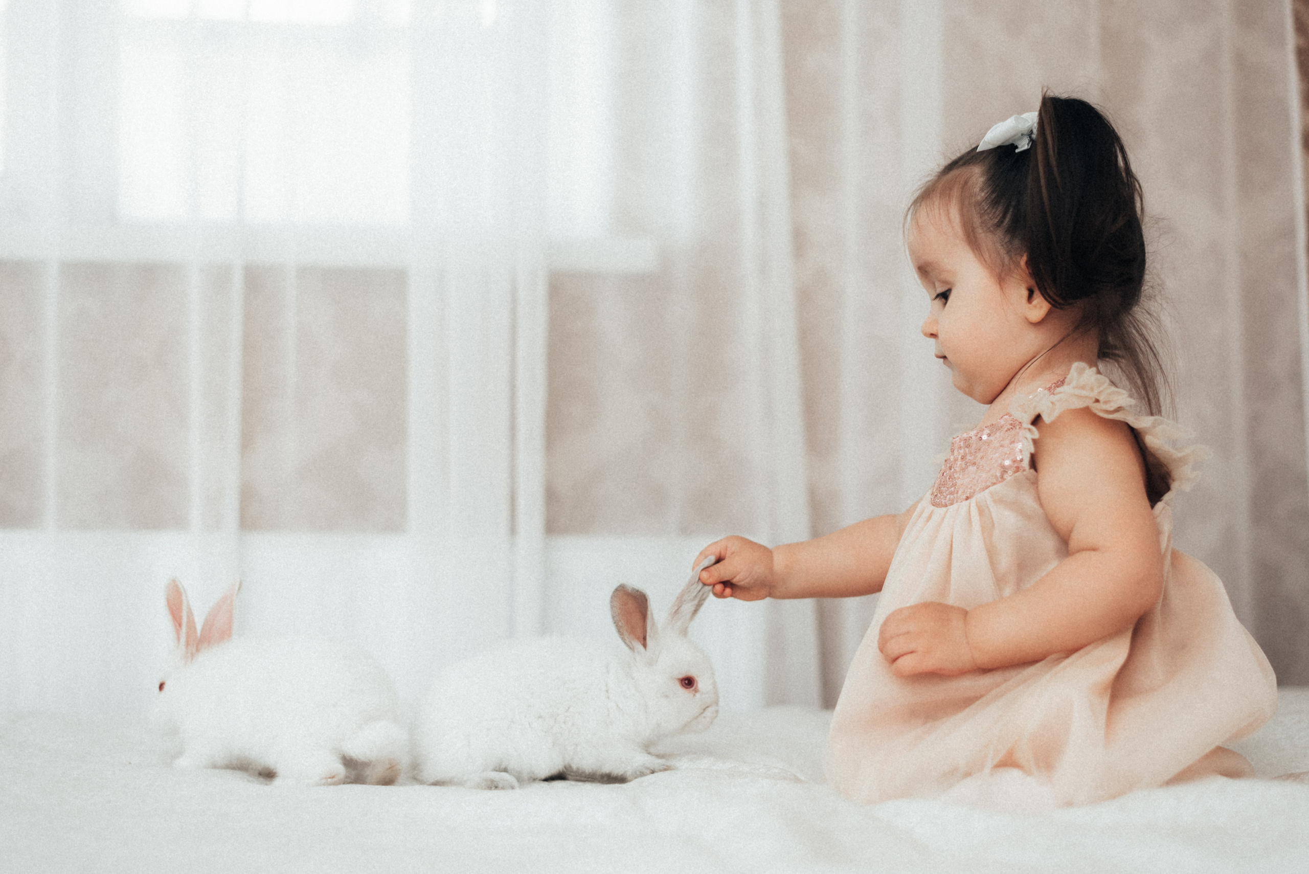 Семейная Фотосессия День рождения Амина. Фотограф|КРЫМ| Владимир Комок