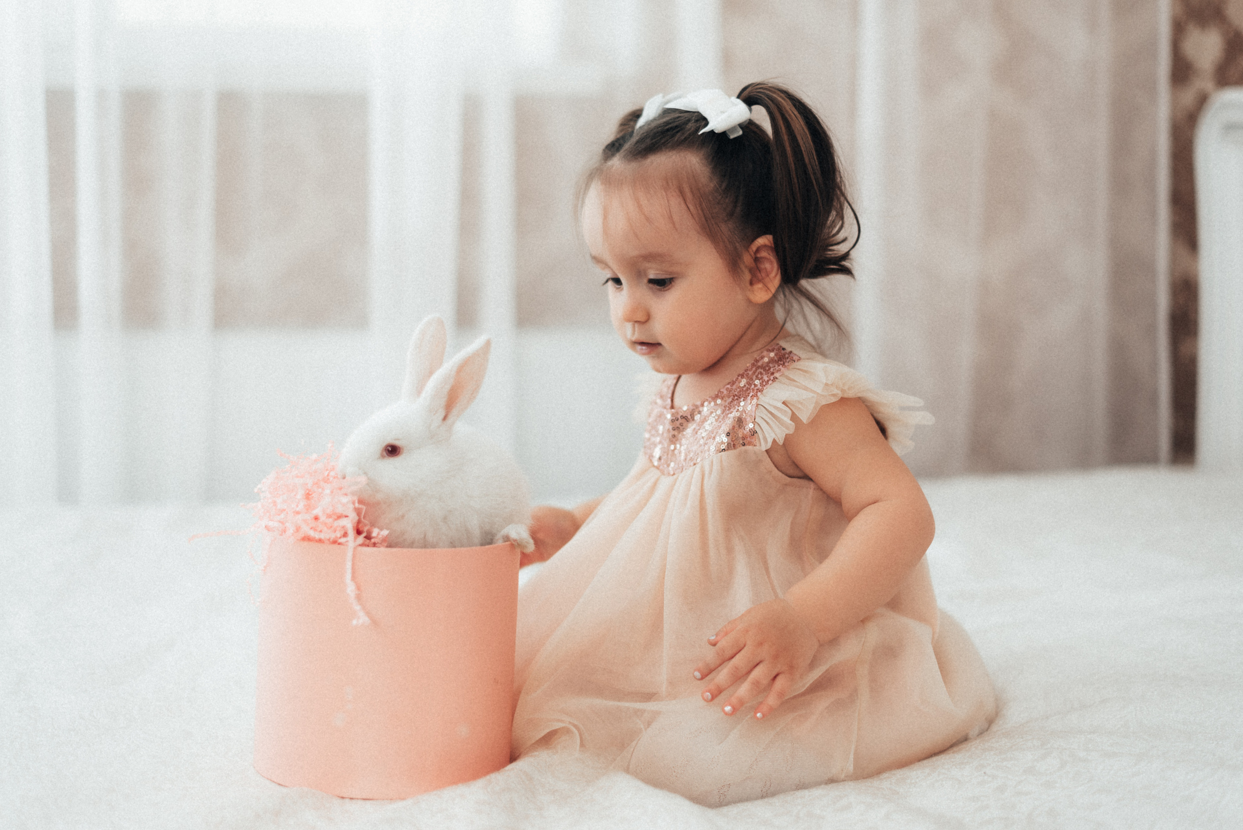 Семейная Фотосессия День рождения Амина. Фотограф|КРЫМ| Владимир Комок