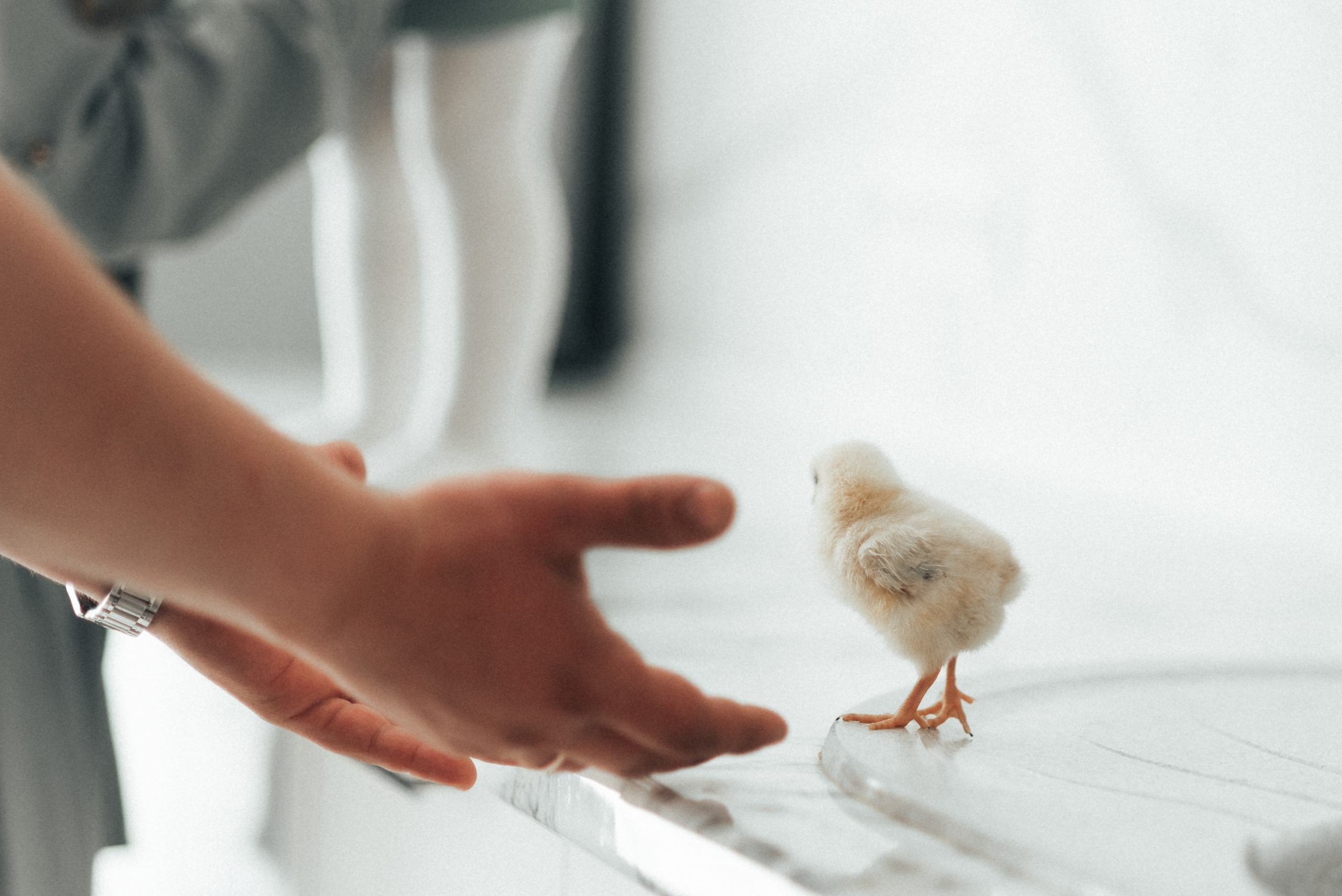 Семейная Фотосессия День рождения Амина. Фотограф|КРЫМ| Владимир Комок