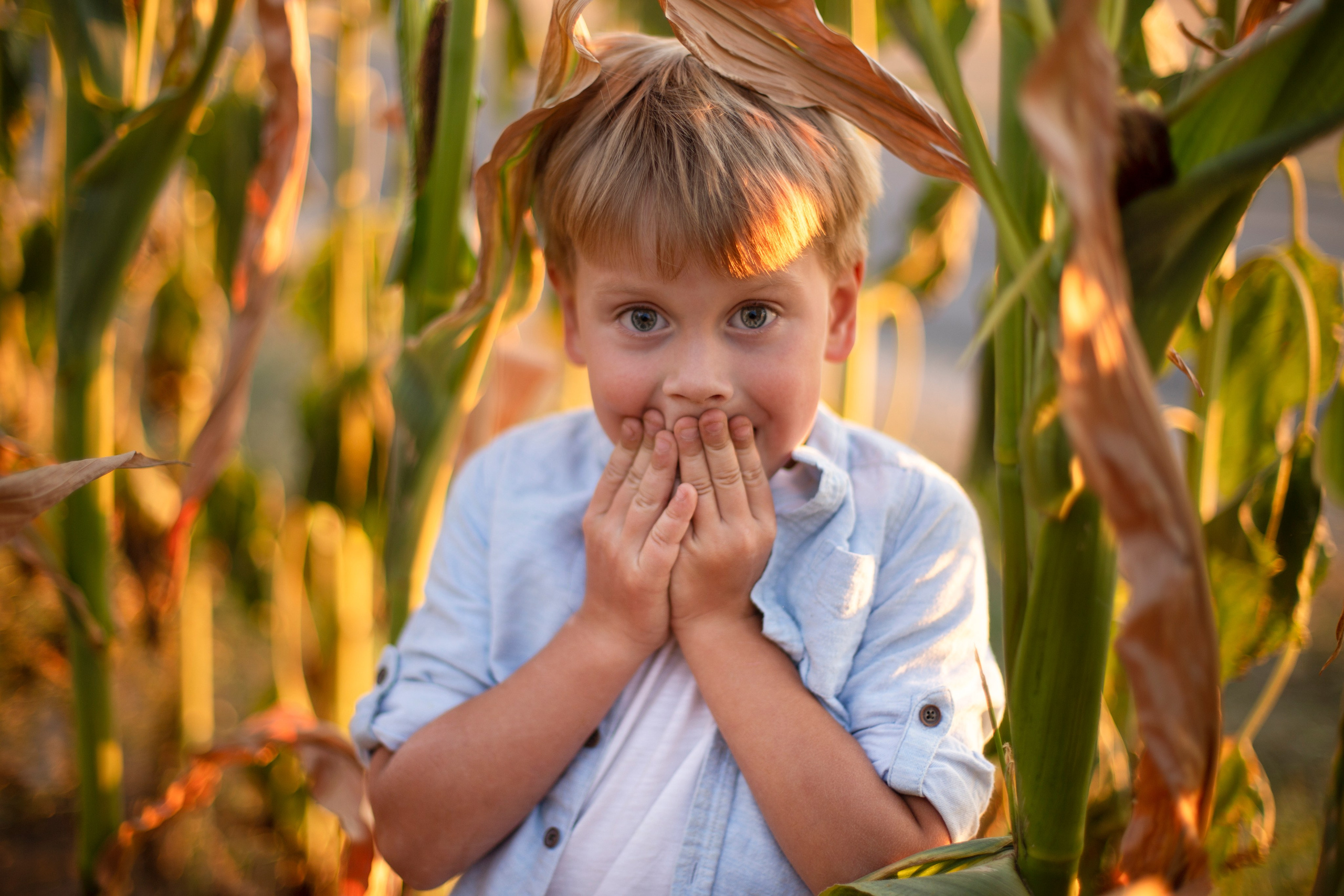 Стоимость и условия съемки. Семейный и детский фотограф в Минске Владыко Татьяна