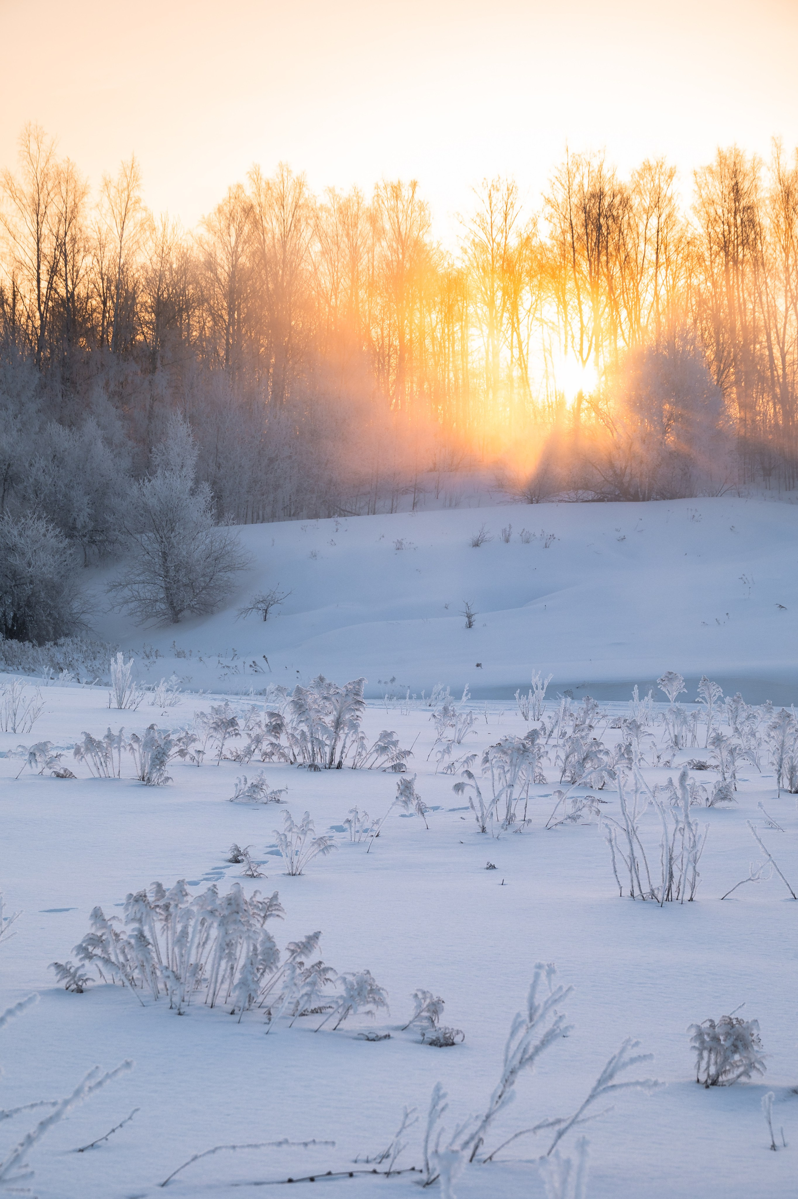 Река Дёготня. Фотограф и видеооператор в Туле | Даниил Рыбак