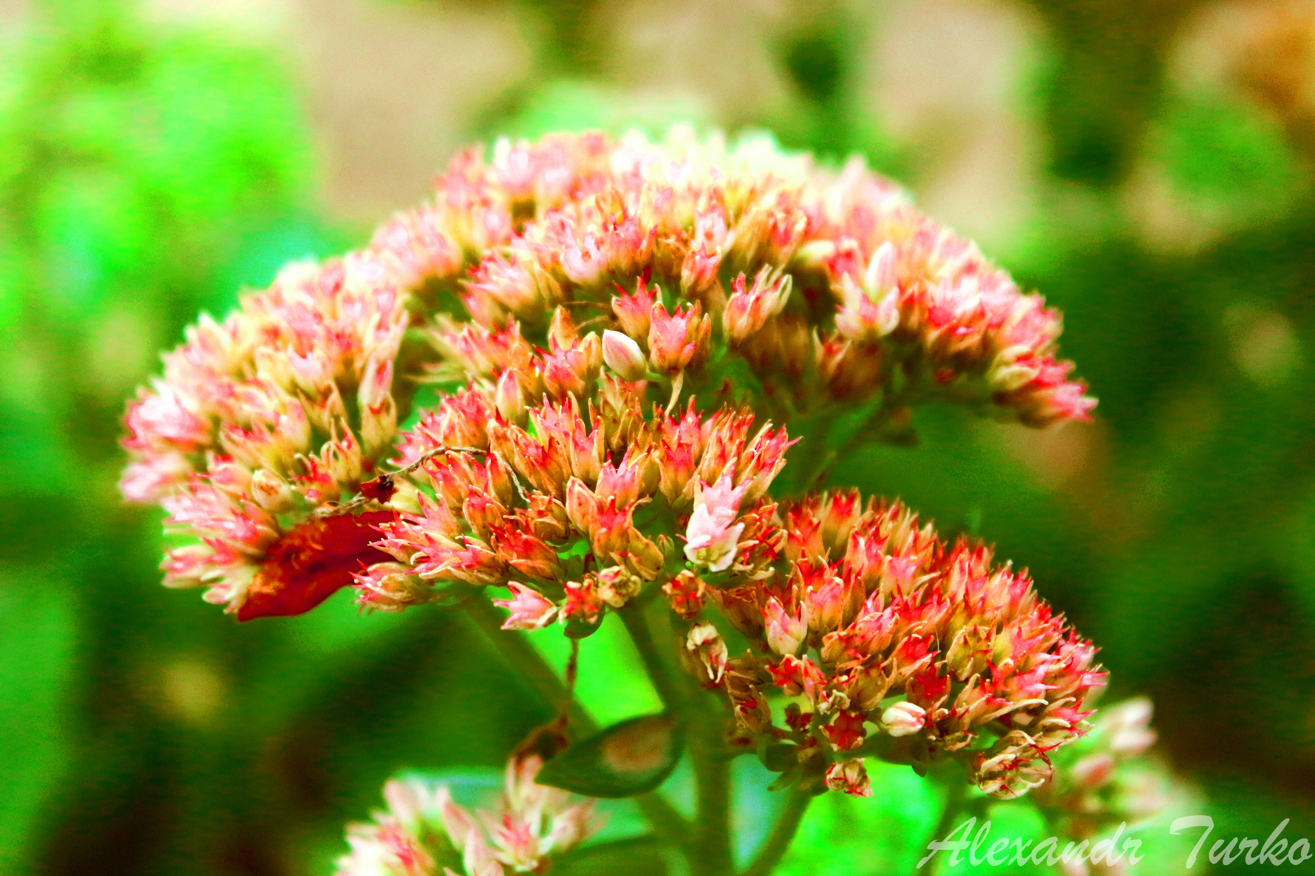 Пейзажи. Фотограф из Донецка Александр Турко