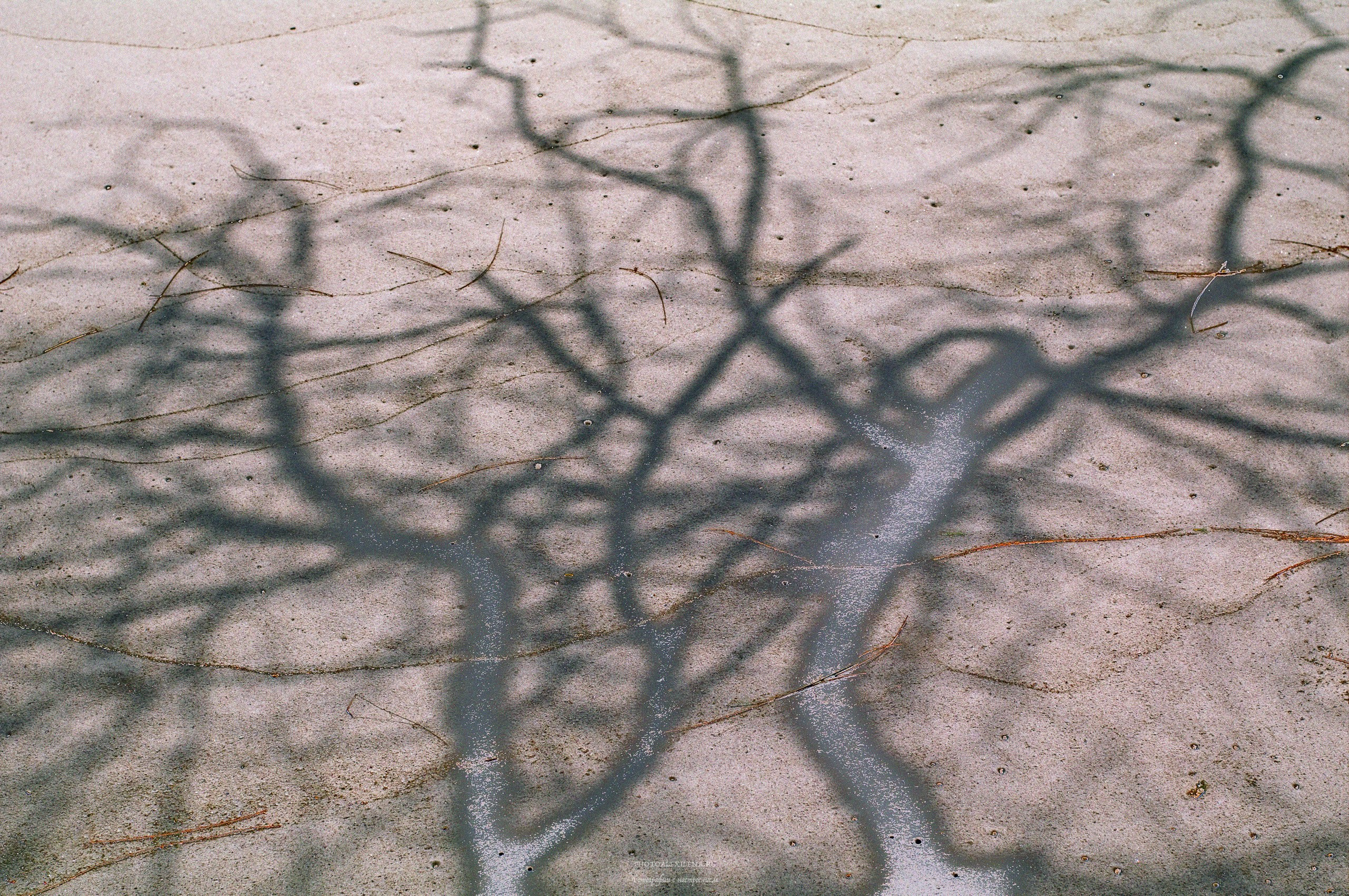 Острова Ла Диг, Праслин и Маэ, 2010 год. Авторские стильные фотокартины