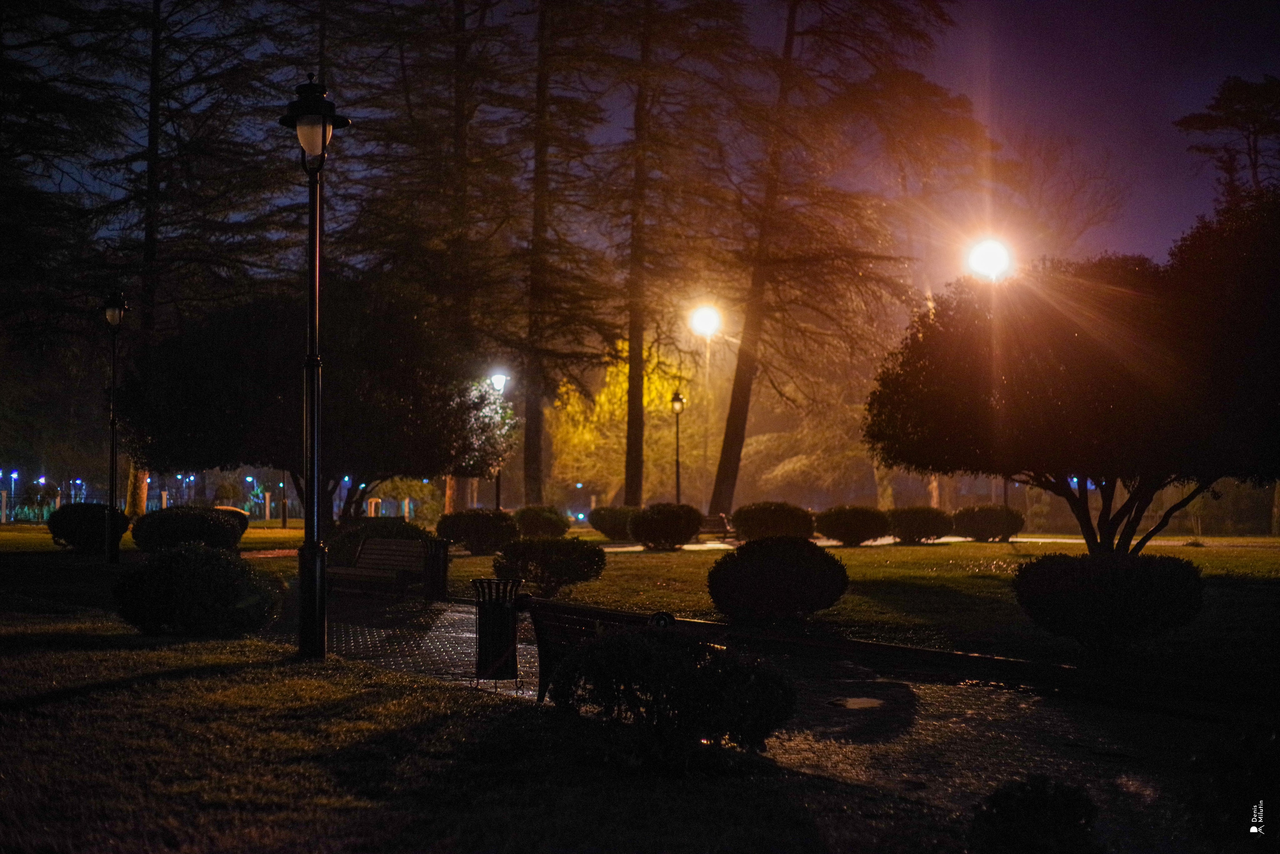 Зугдиди. Портретный фотограф Денис Милютин