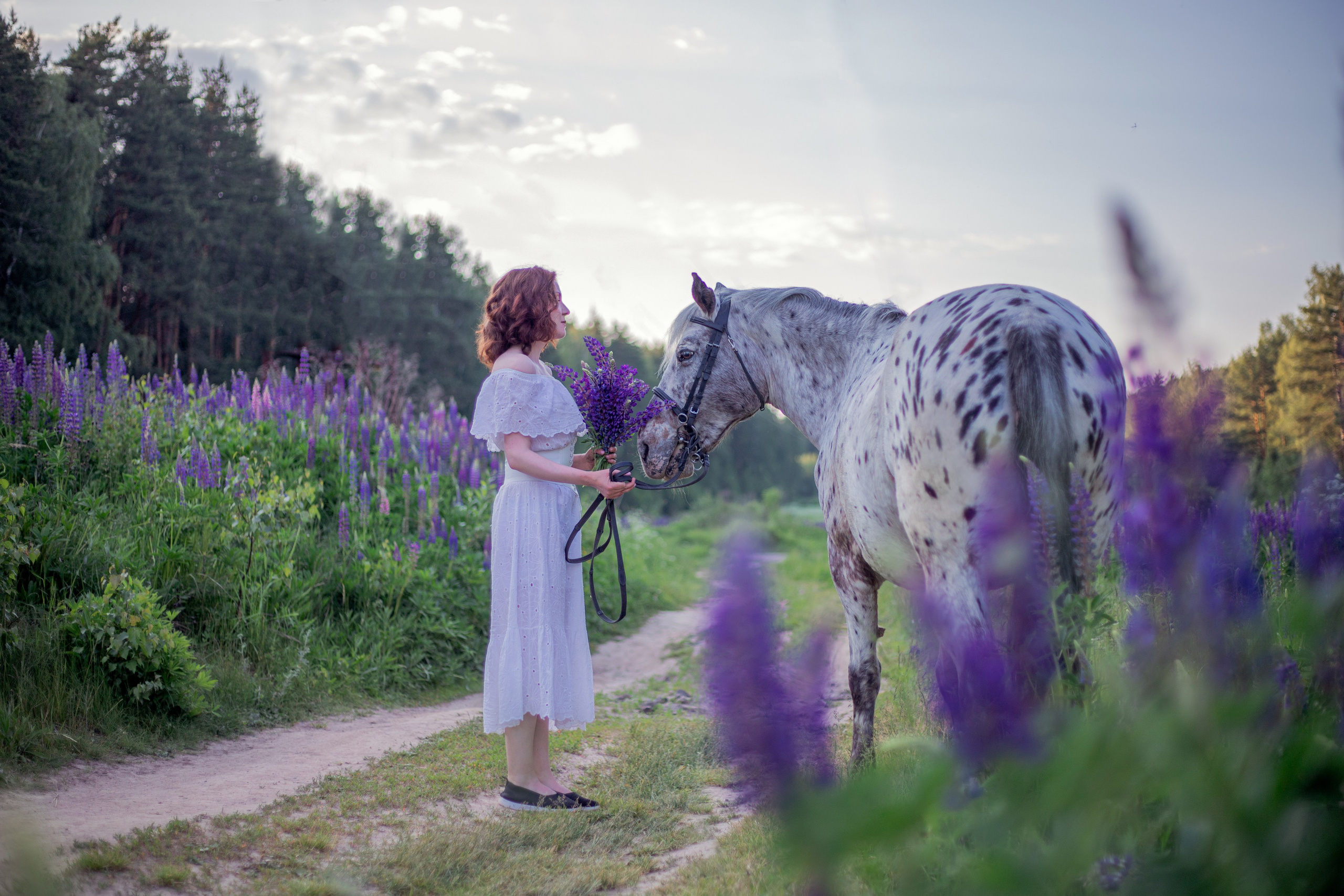 Фотосессии с лошадьми. Фотосессии с лошадьми в Москве и МО