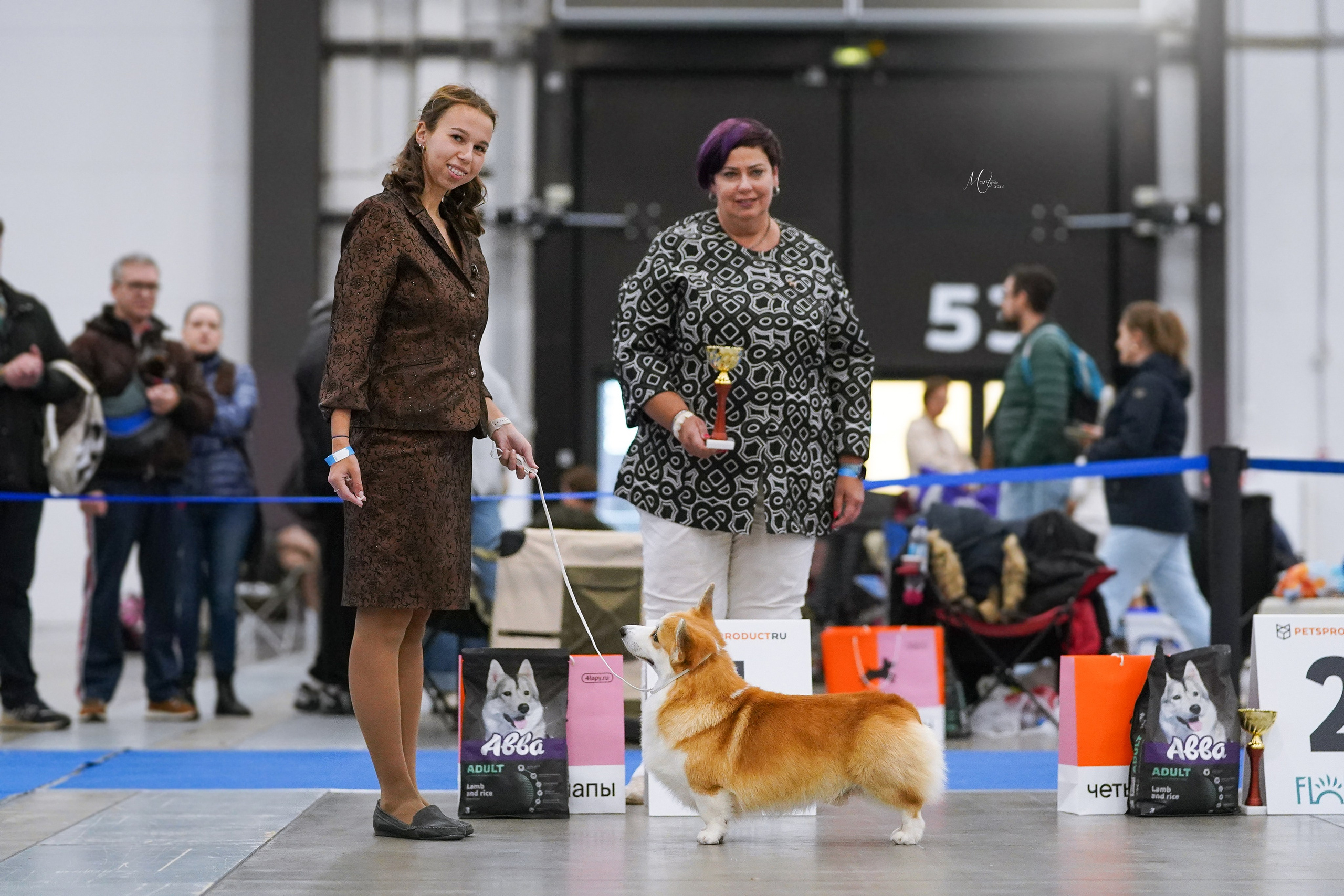 Выставки 2023. Фотограф-анималист в Санкт-Петербурге Яна Мартынова