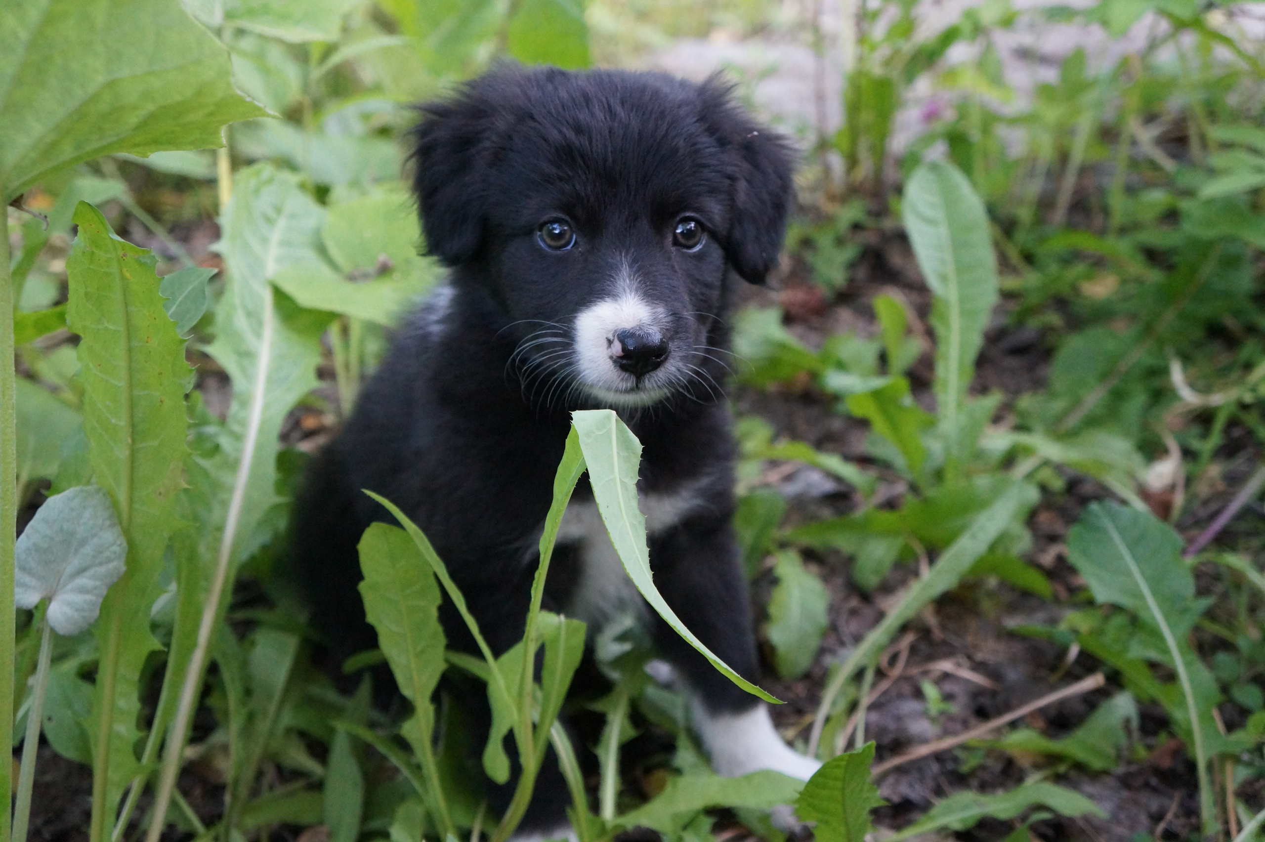 Портфолио. Фотограф в Москве Александра
