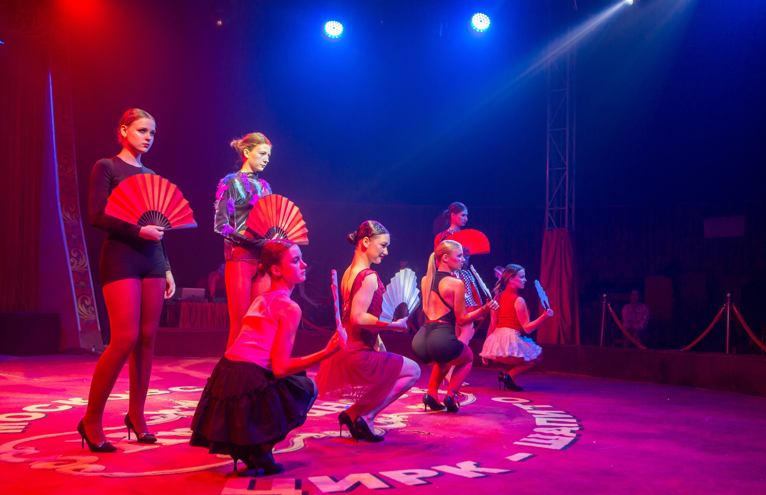 MANEGE SHOW. Репортажный, семейный, свадебный, портретный фотограф