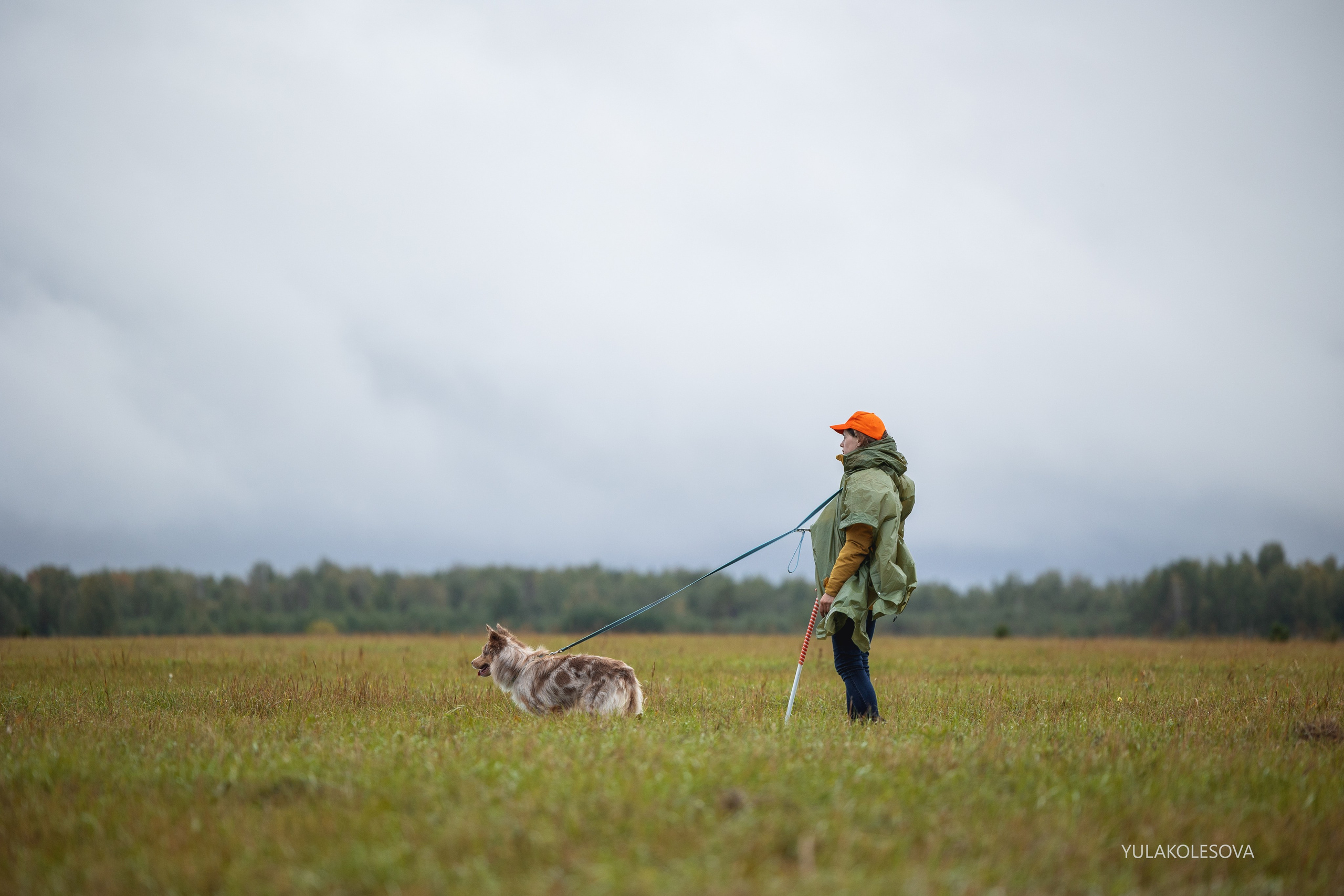Пастуший интенсив, сентябрь 2024. YULA KOLESOVA | Фотограф — Анималист | Художник | Тюмень