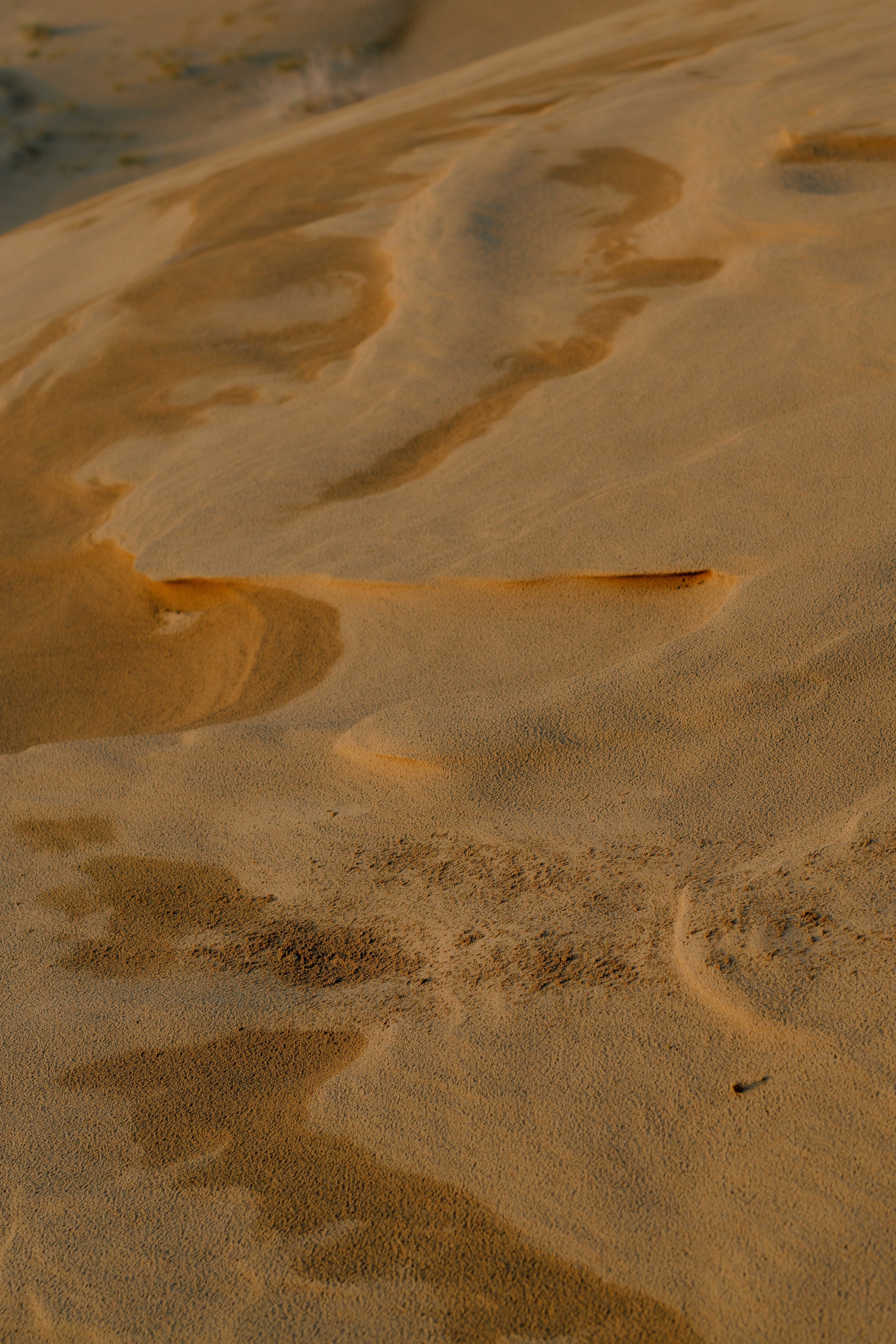 Dmitri & Katya. Wedding and Love story Photographer