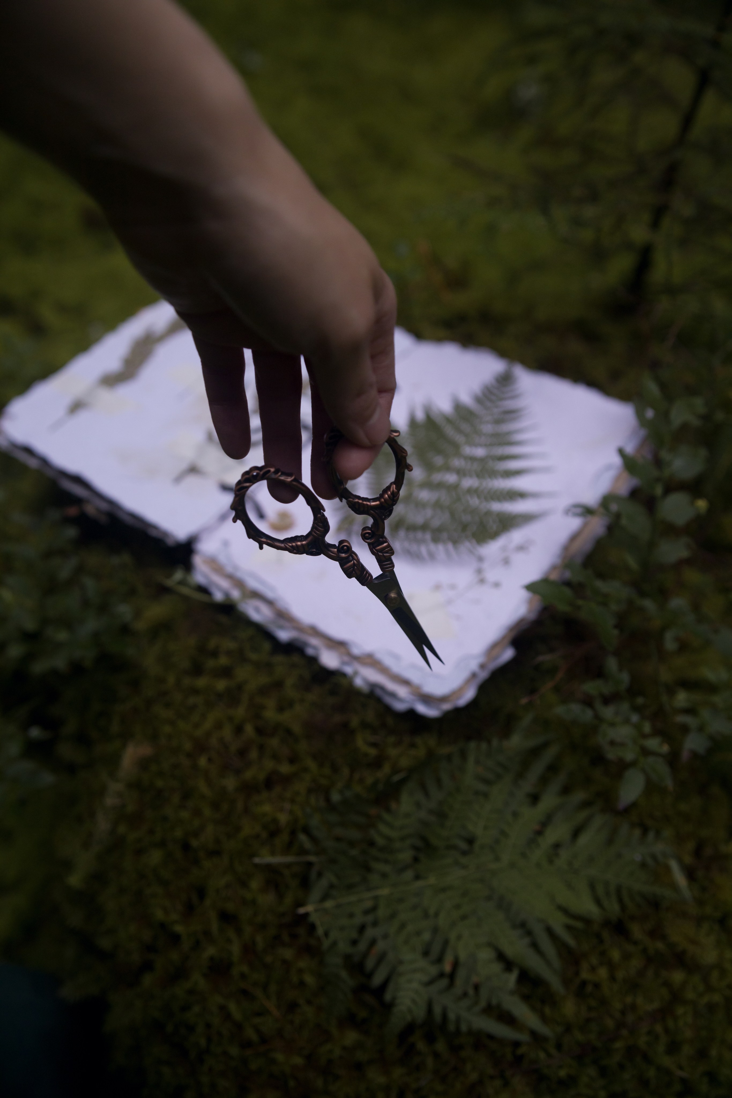 Искание. Катя Цвет