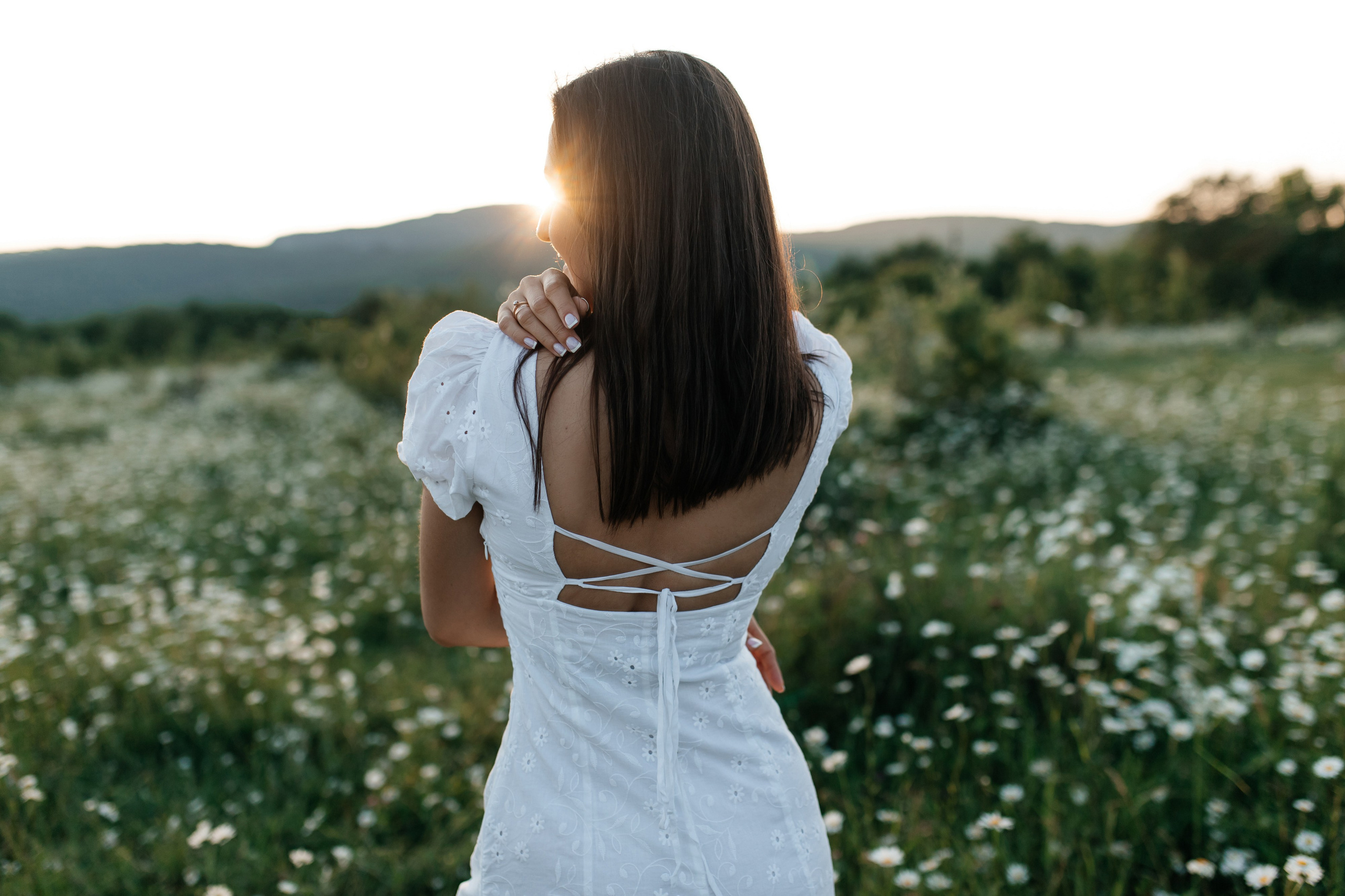Daisies. ФОТОГРАФ