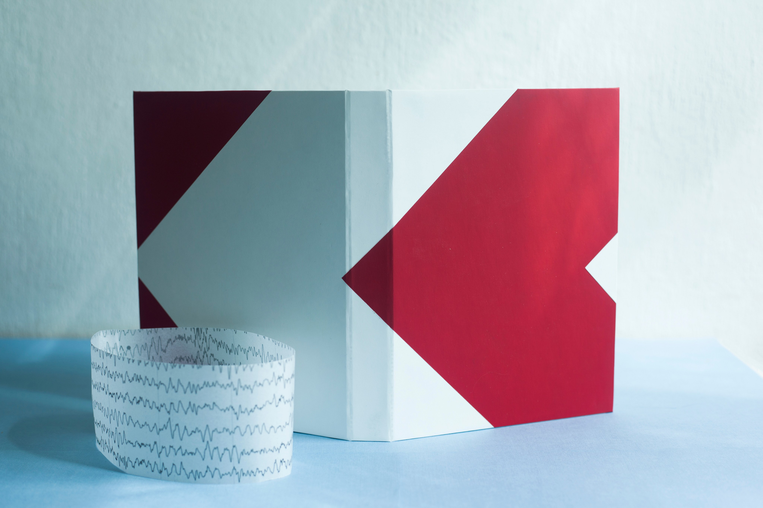 A book about the project. Aleksandra Mikhailova multimedia artist
