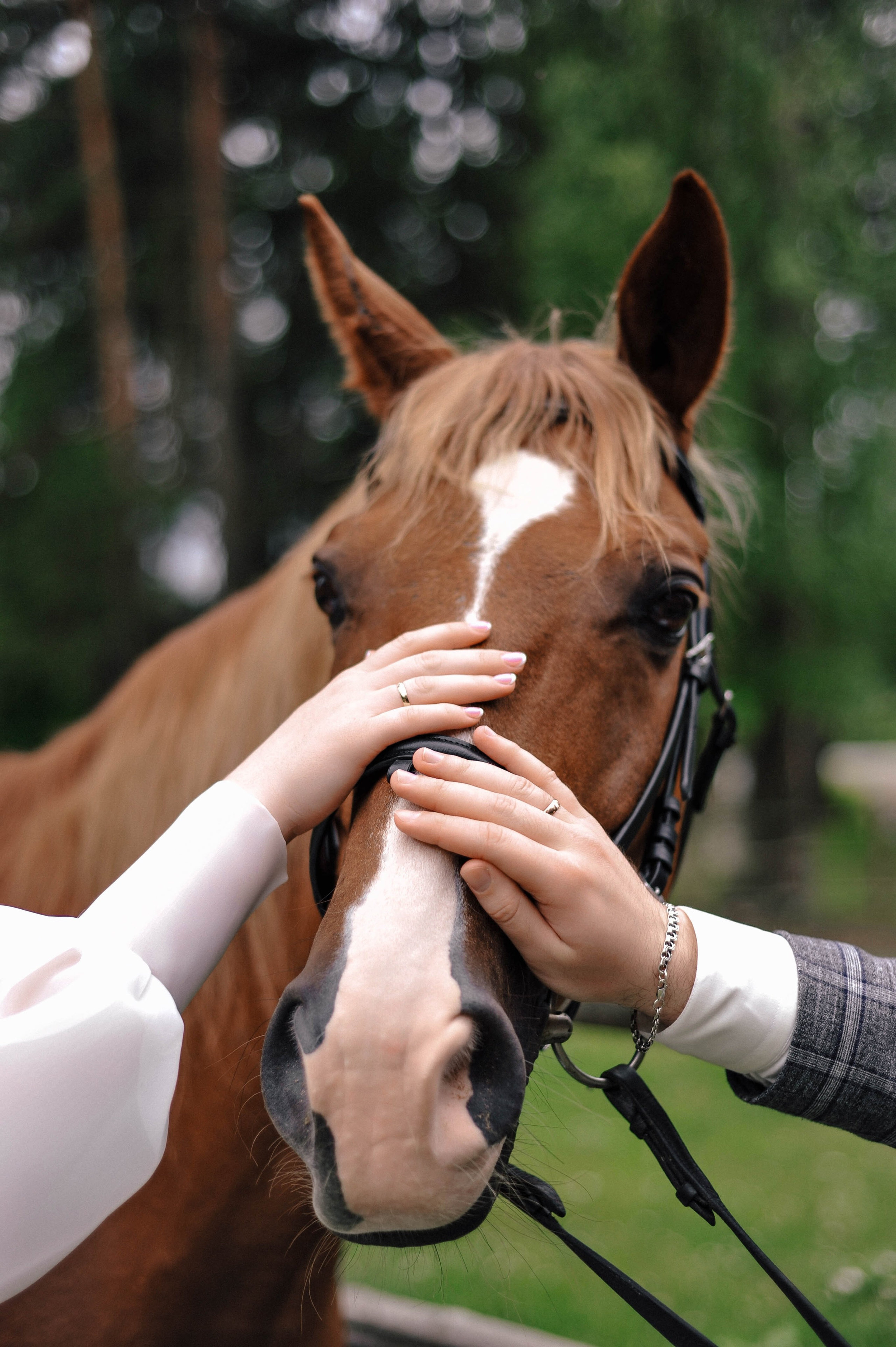 Свадебные съёмки. Фотограф Светлана Васильева