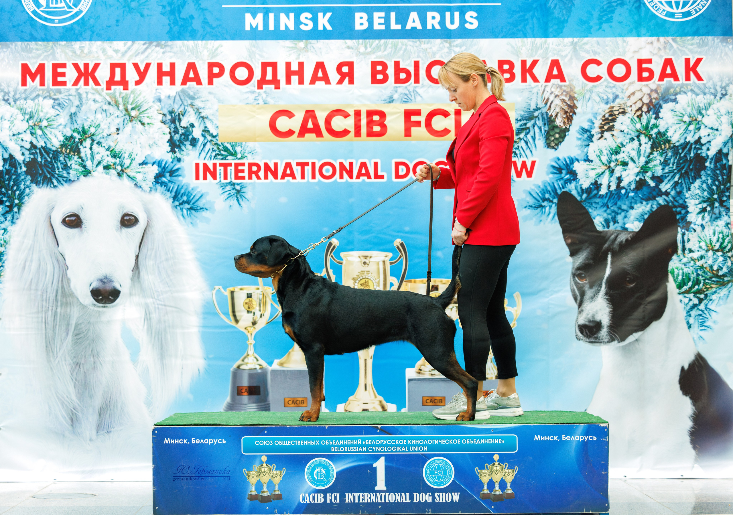 Минск 23.11.2024. Фотограф-анималист Юлия Германика