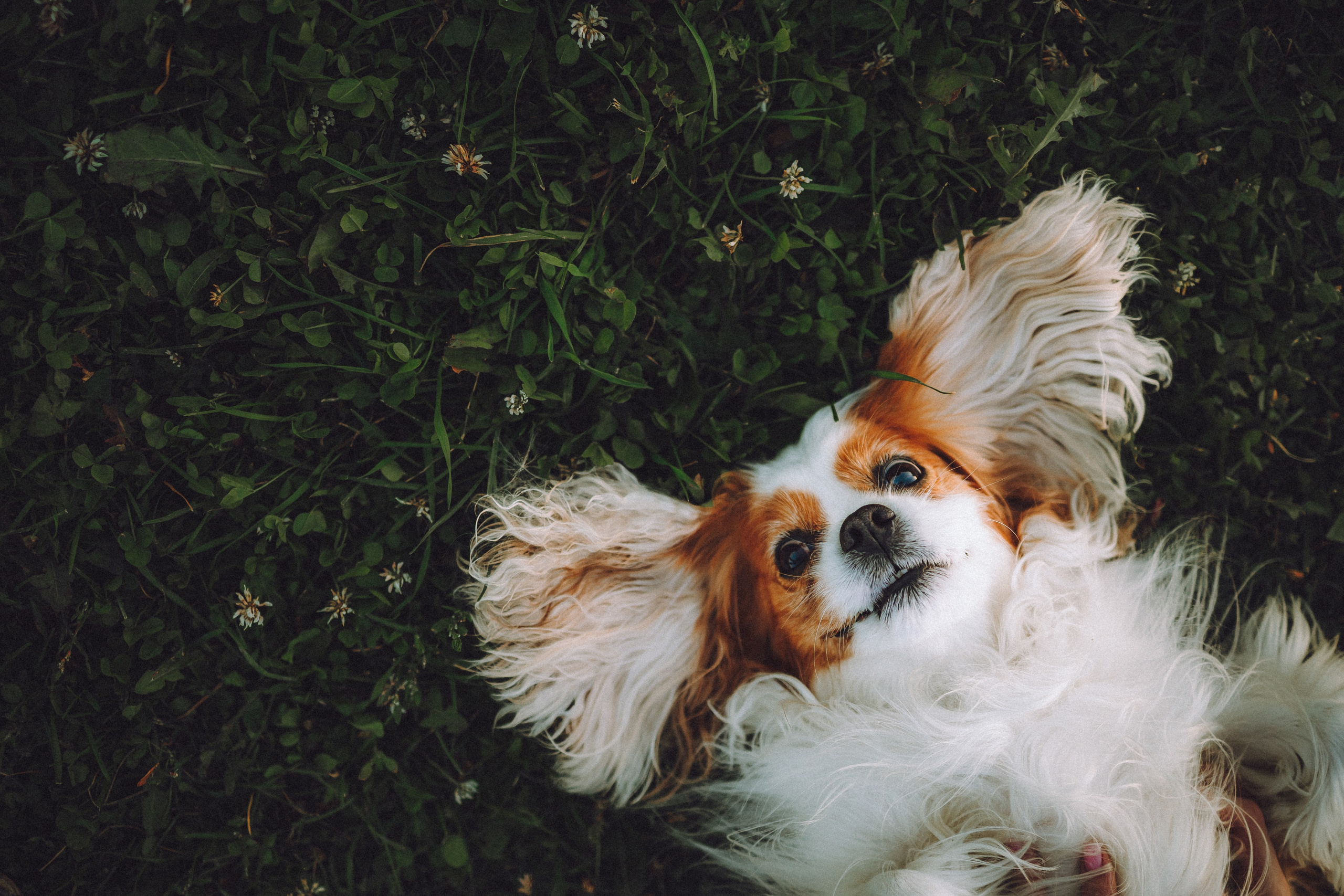 Наташа и Вики