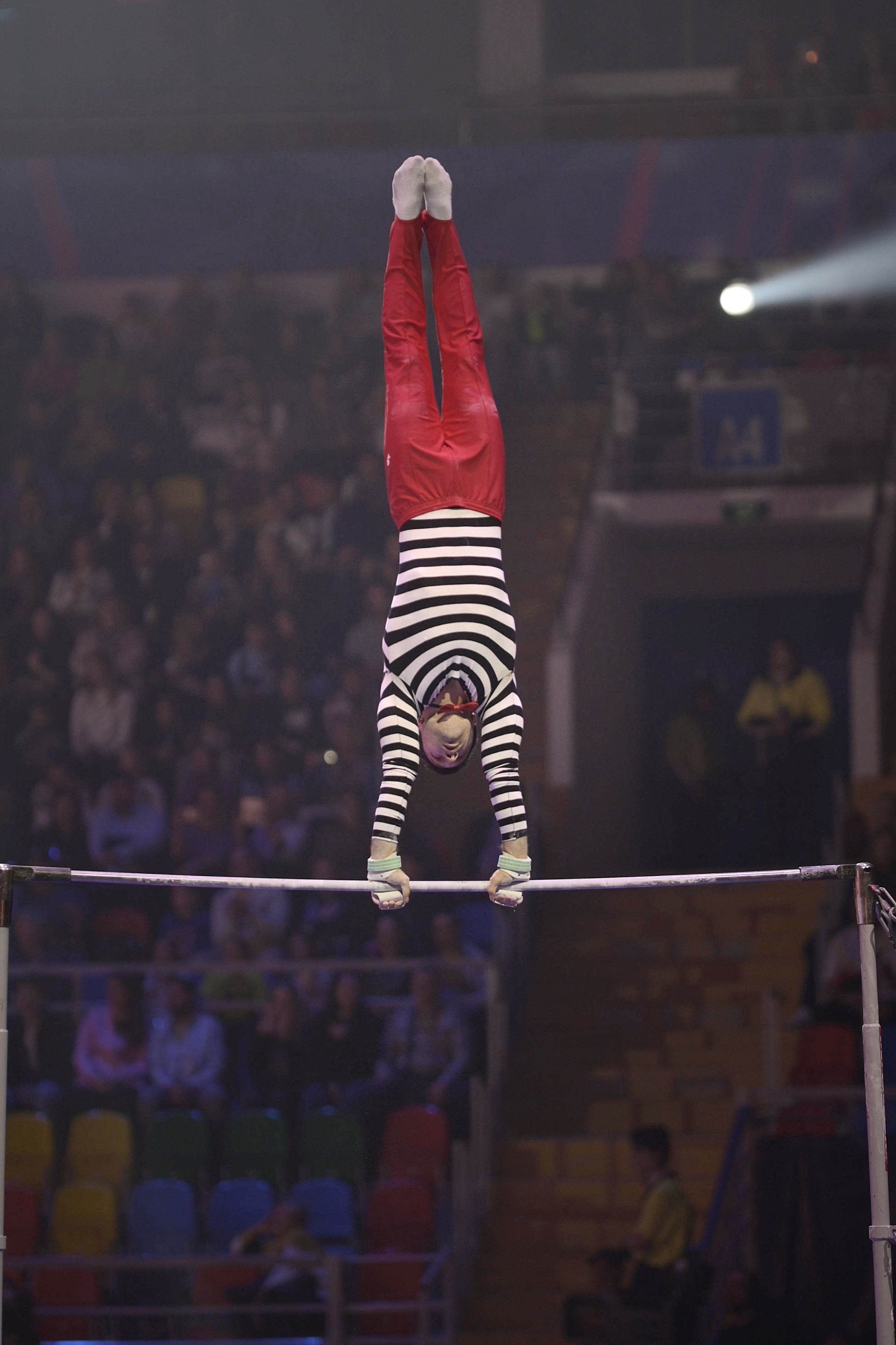 Шоу Алексея Немова 2024. Фотограф Ваших событий 📸