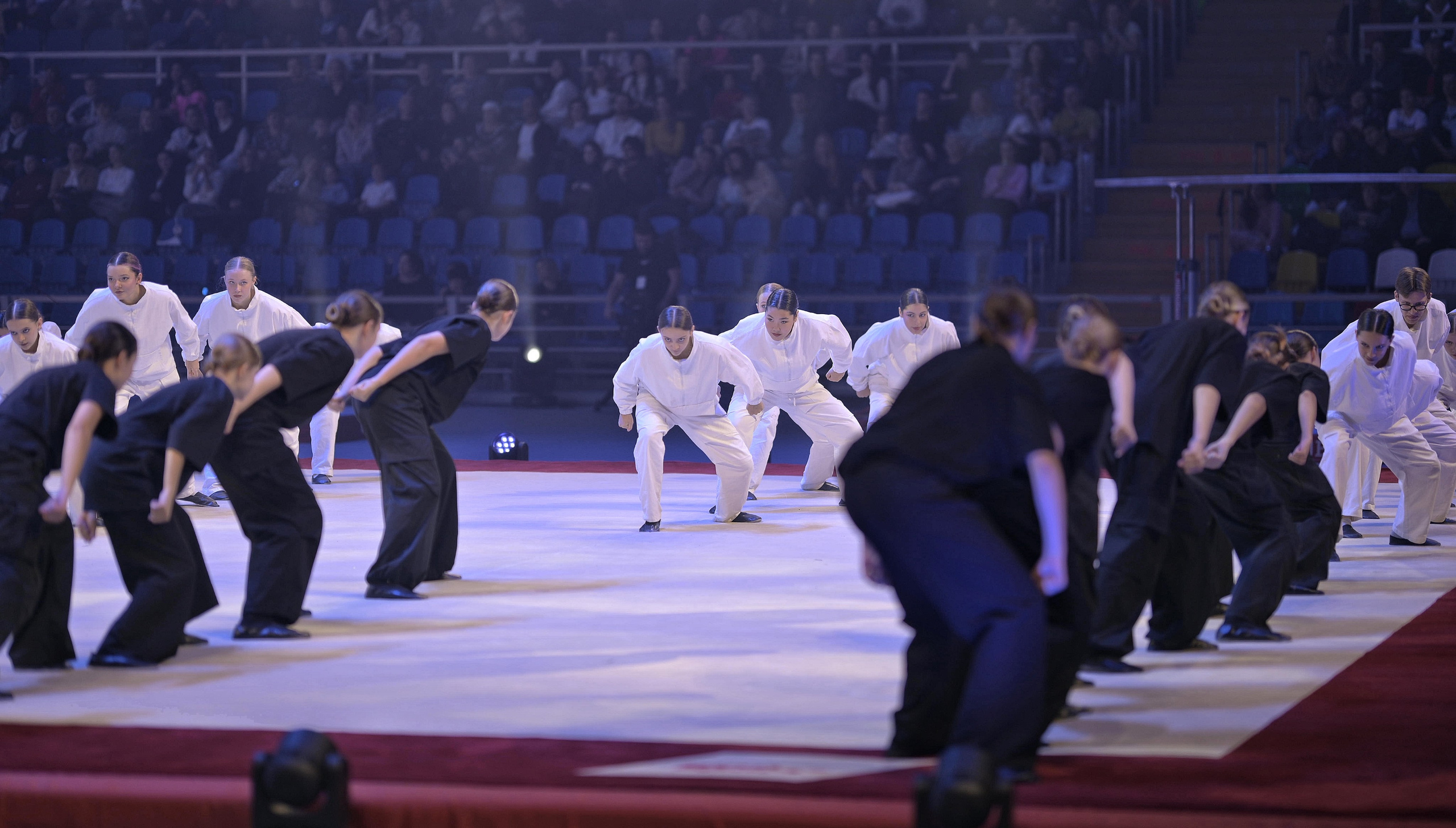Шоу Алексея Немова 2024. Фотограф Ваших событий 📸