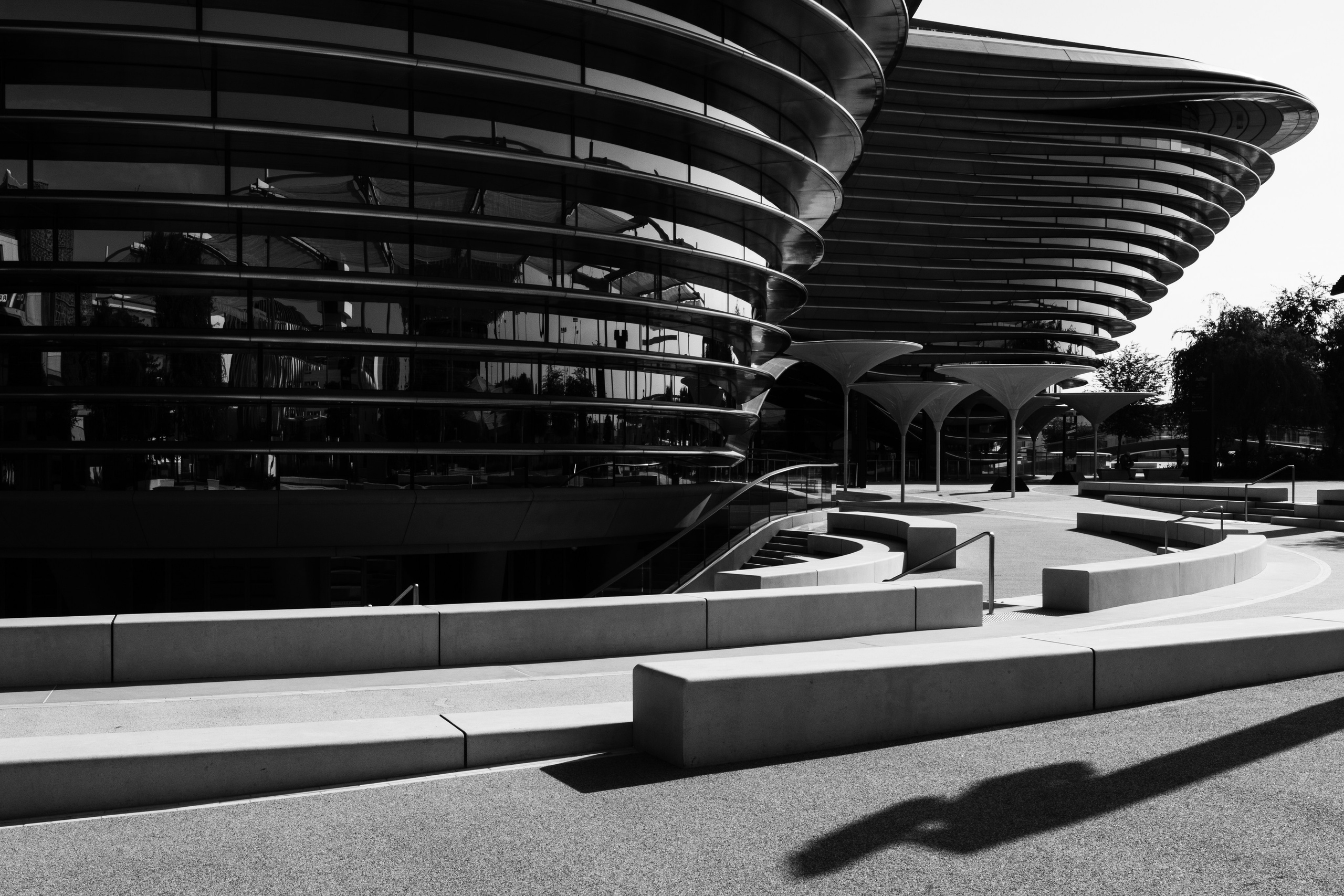 Дубай 2023. Руслан Плахтеев