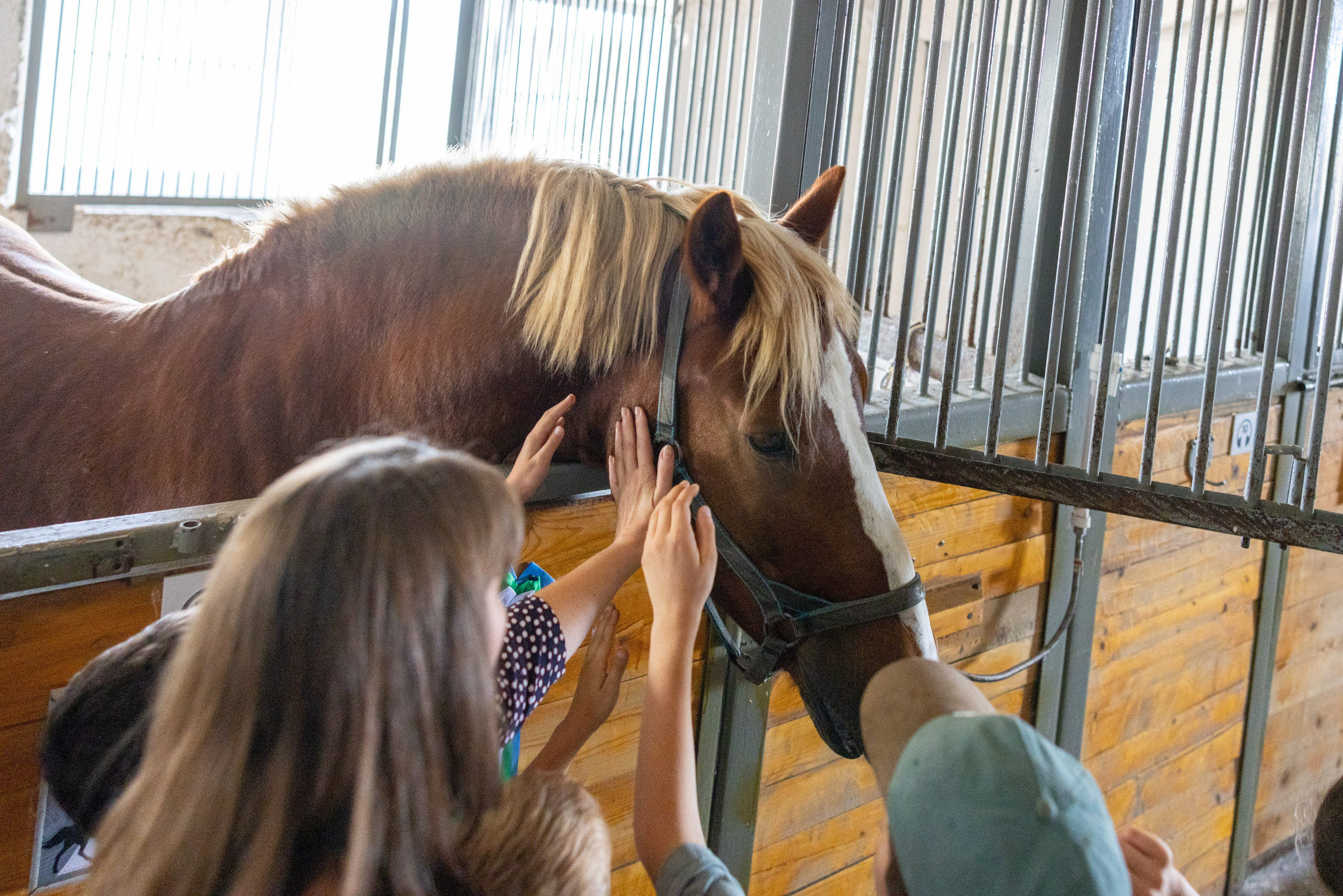 Поездка на поле Кулеково. Фотограф в Туле Крупский АнДРей. Фотостудия «КАДР71» в Туле