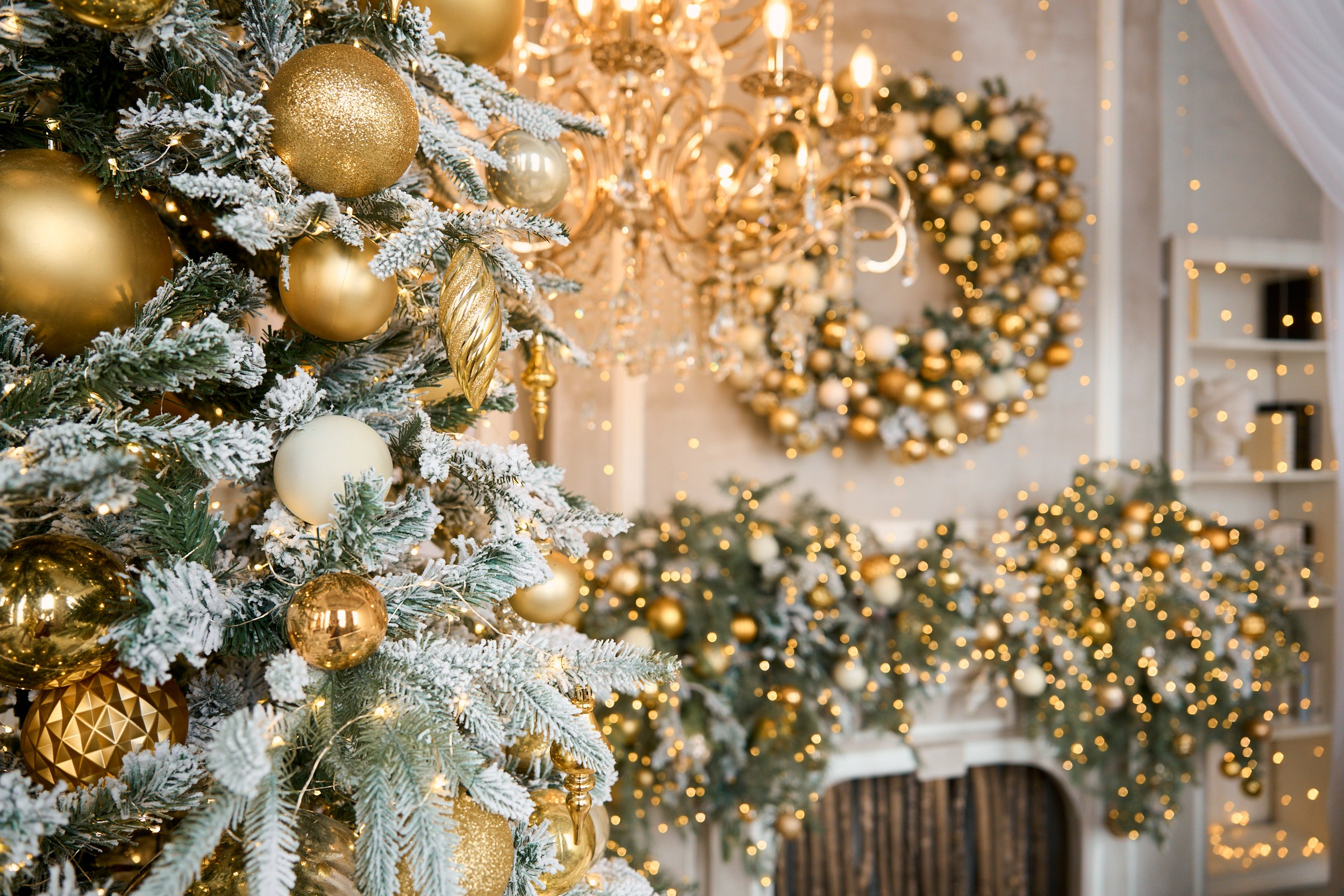 Флэт (Flat). Фотограф г. Хабаровск. Семейные и индивидуальные съёмки