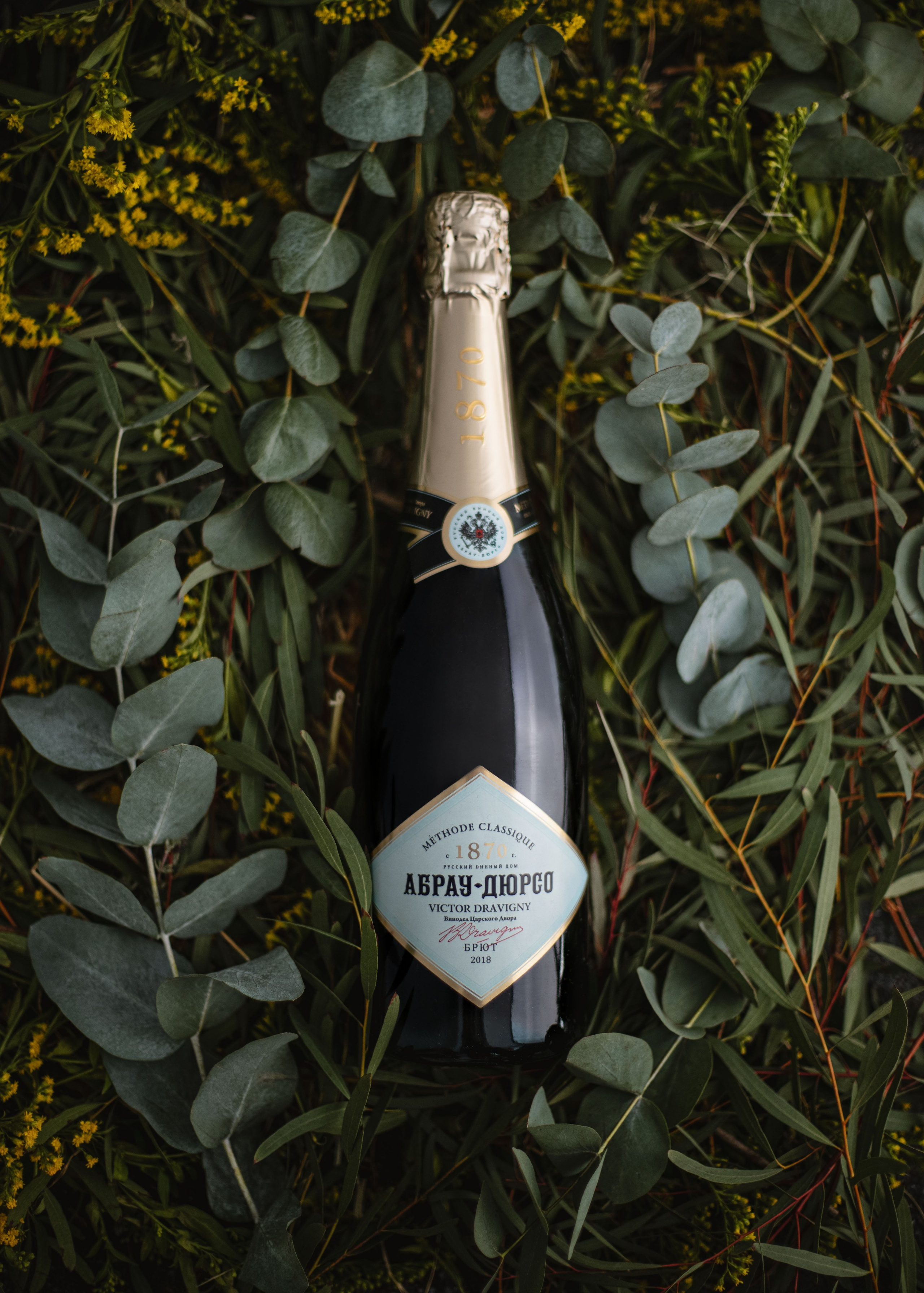 Предметная съемка. Фотограф и видеограф Анастасия Биркле