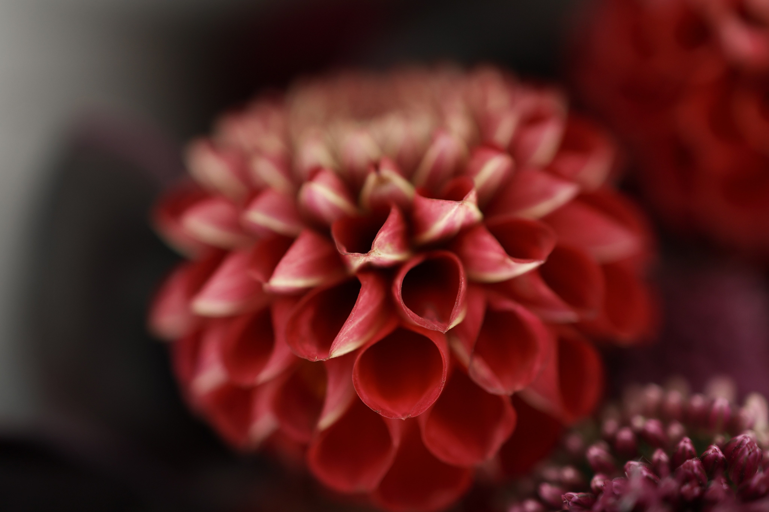 Георгий и Татьяна. Фотограф в Екатеринбурге Андрей Медведко