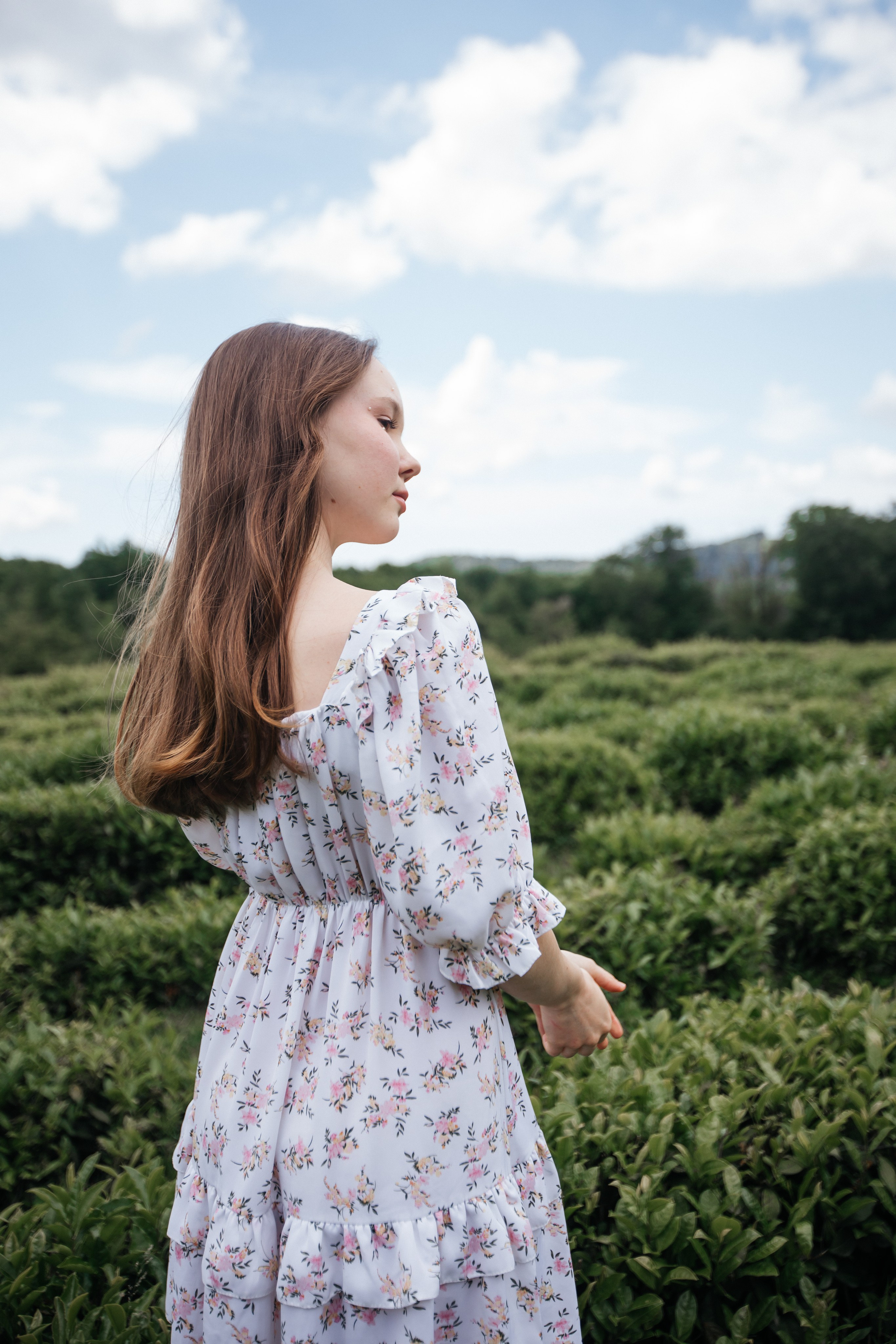 Tea plantation. Efimova Model Agency