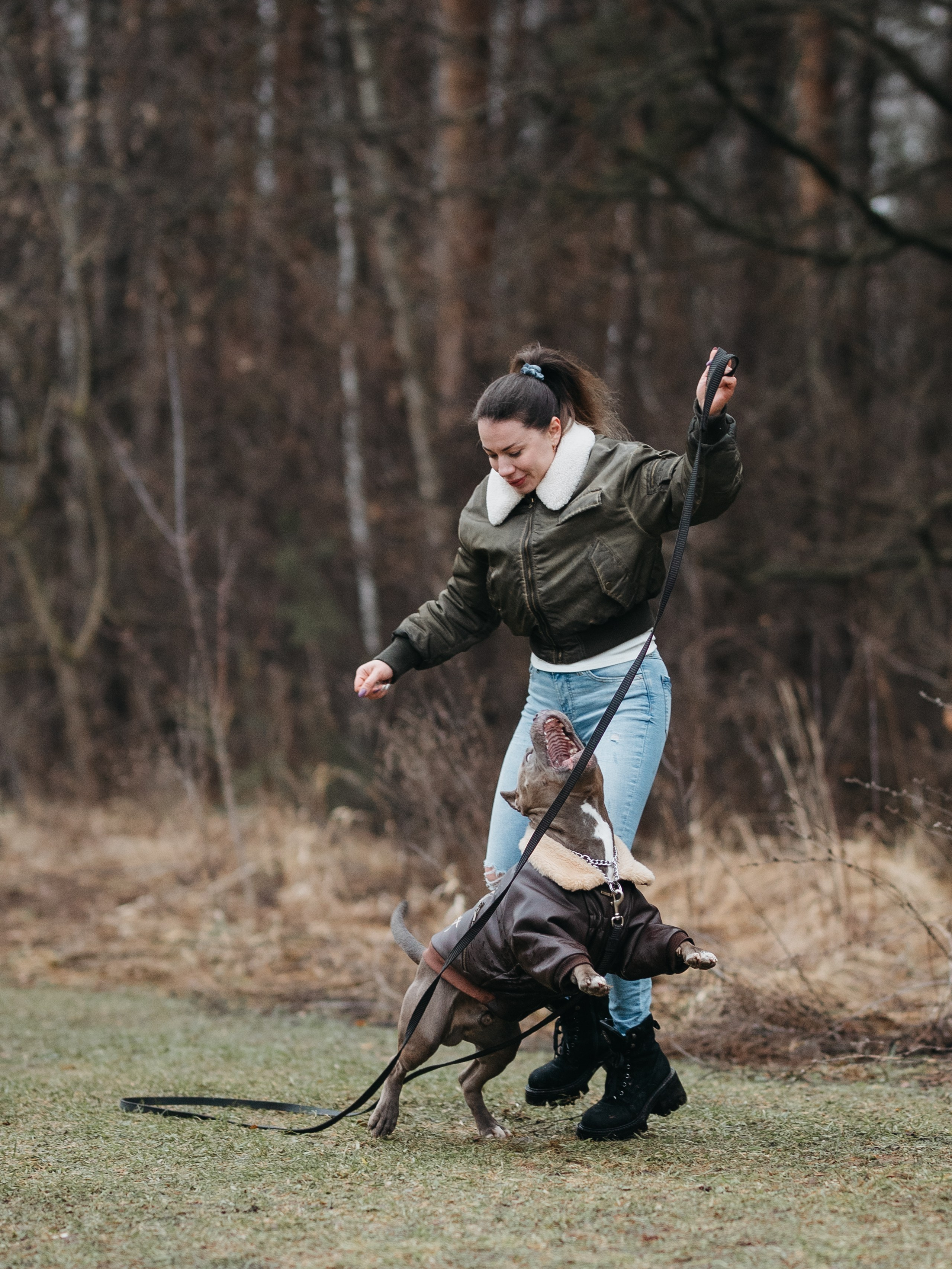 Зевс и Мария. Фотограф-анималист в Москве Кириллова Татьяна