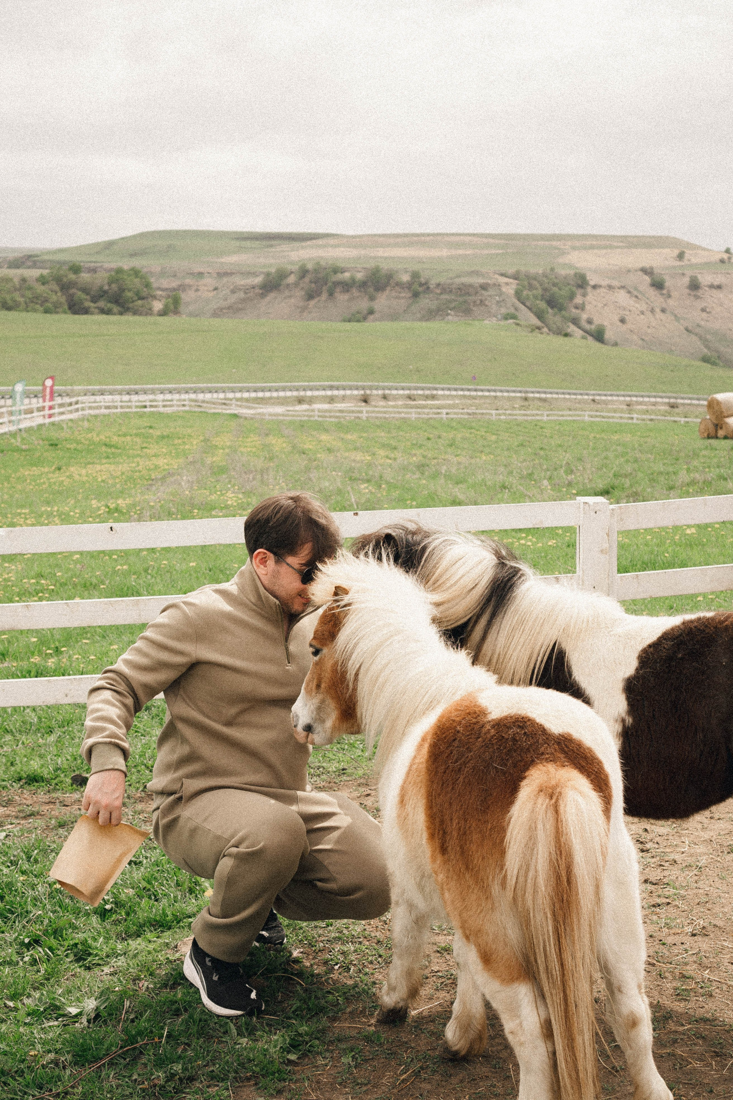 Ферма Альпак. Профессиональный фотограф, Санкт-Петербург — Виктория Богомолова