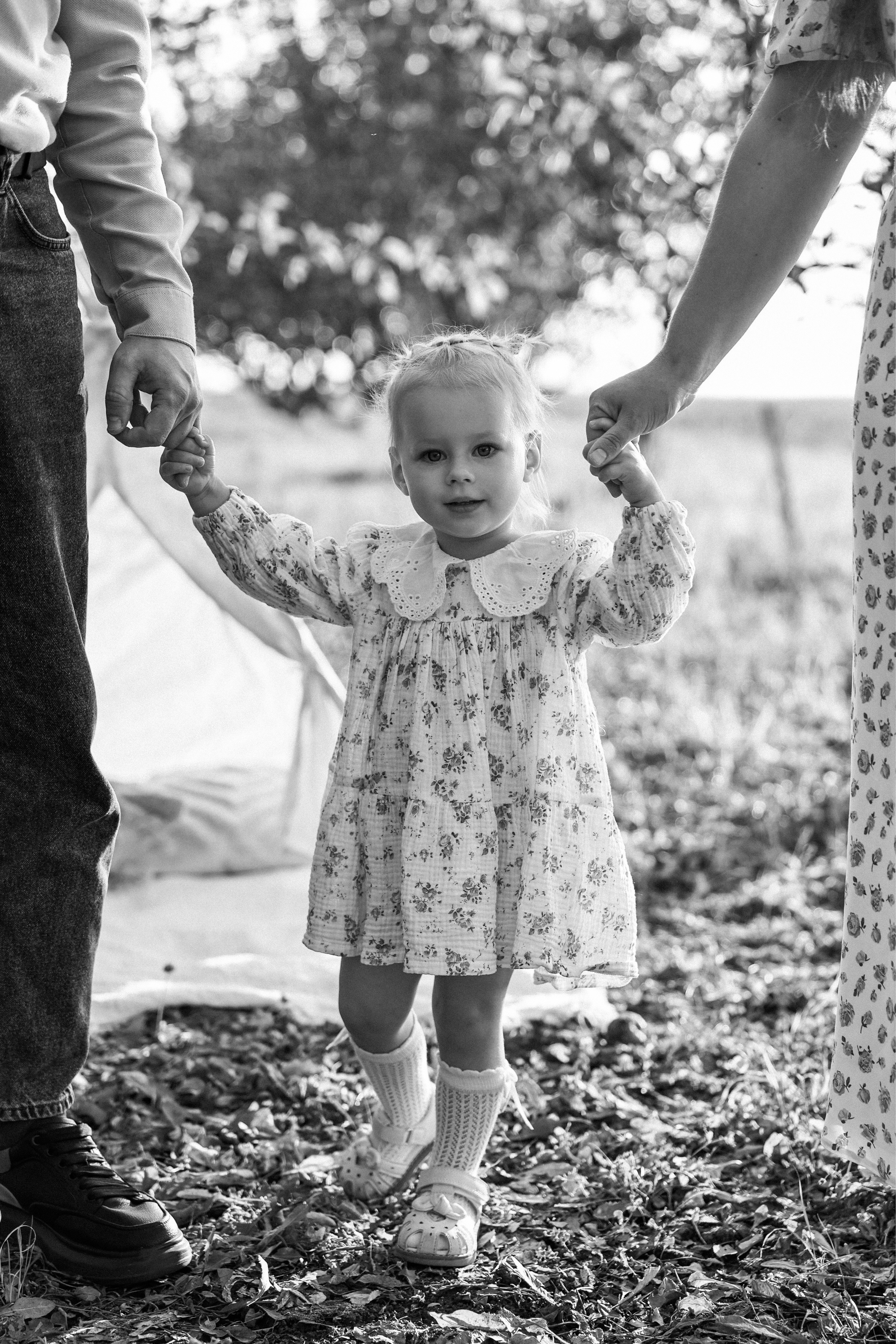 Кедровские. О фотографии с душой