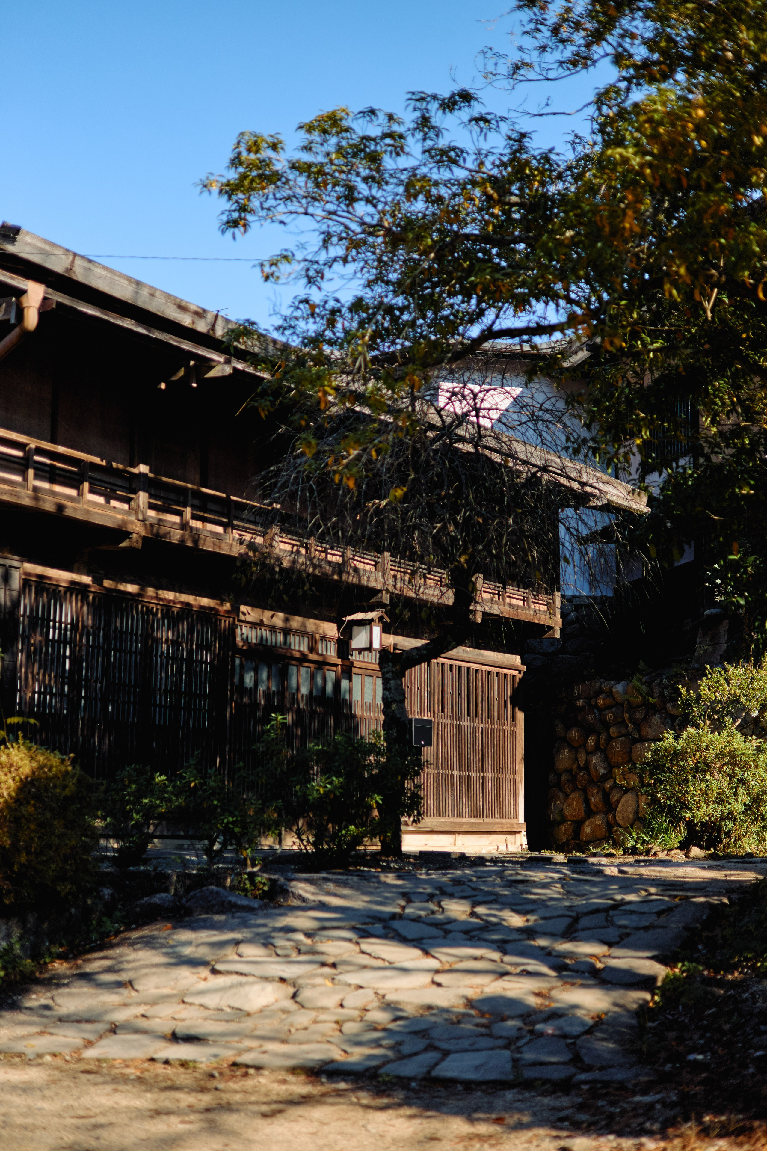 Япония. Профессиональный Фотограф во Владимире, в Москве и в Суздале — Полина Романычева
