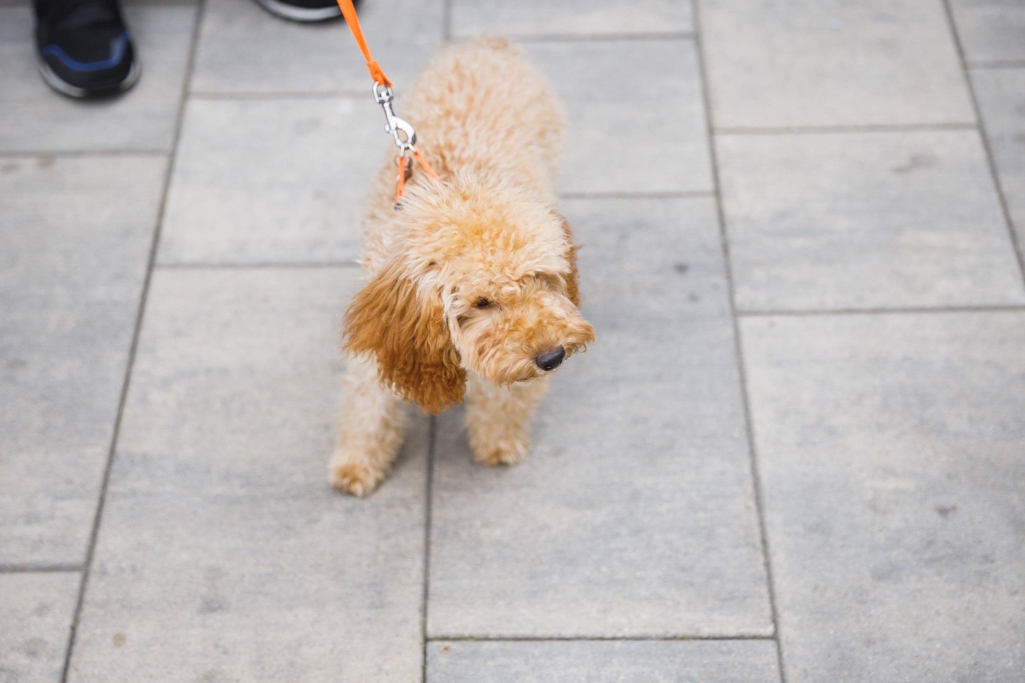 5 сентября 2021 на Даниловском рынке. Фотоотчеты «Ламбада-маркета»