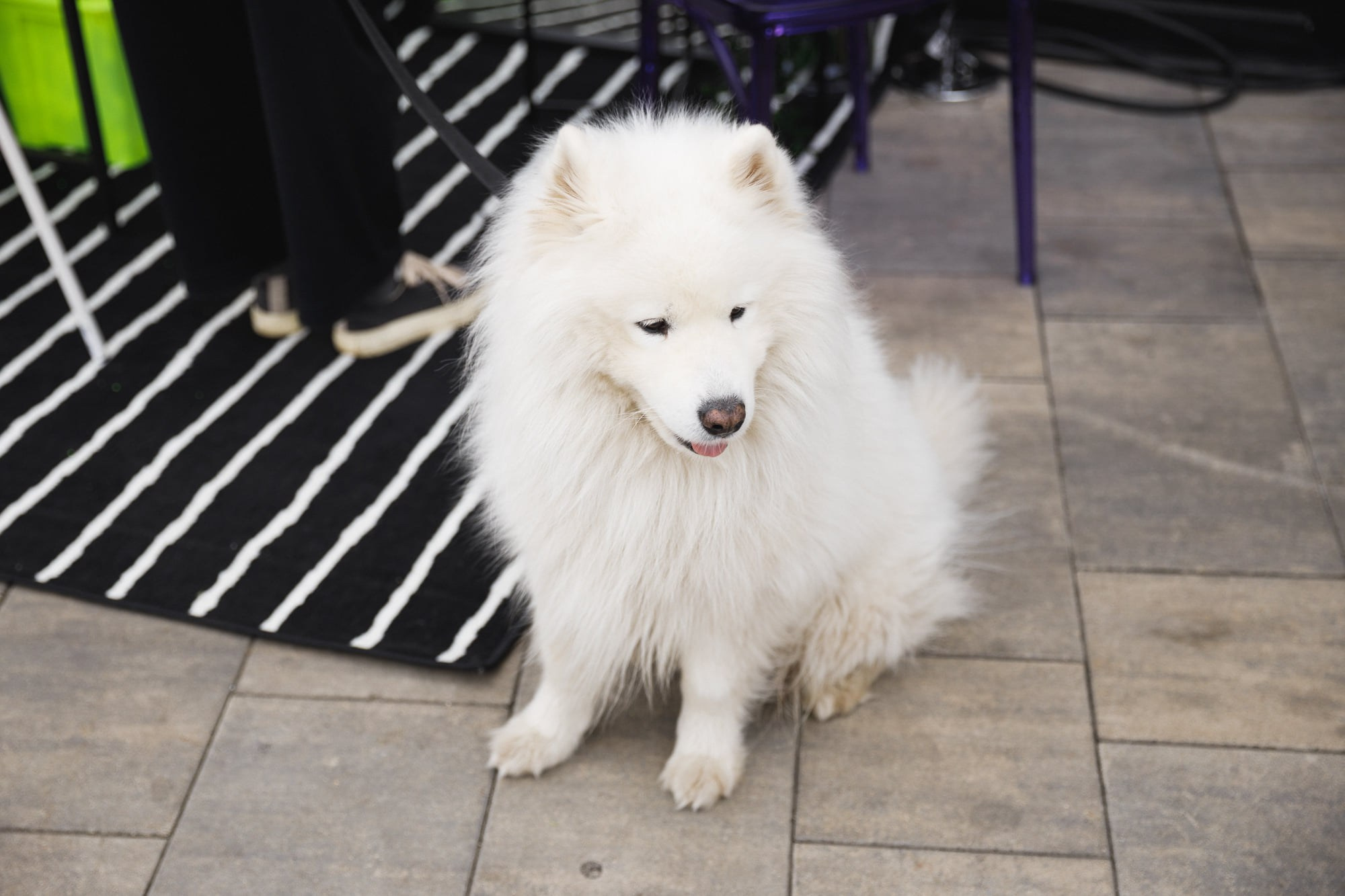 5 сентября 2021 на Даниловском рынке. Фотоотчеты «Ламбада-маркета»