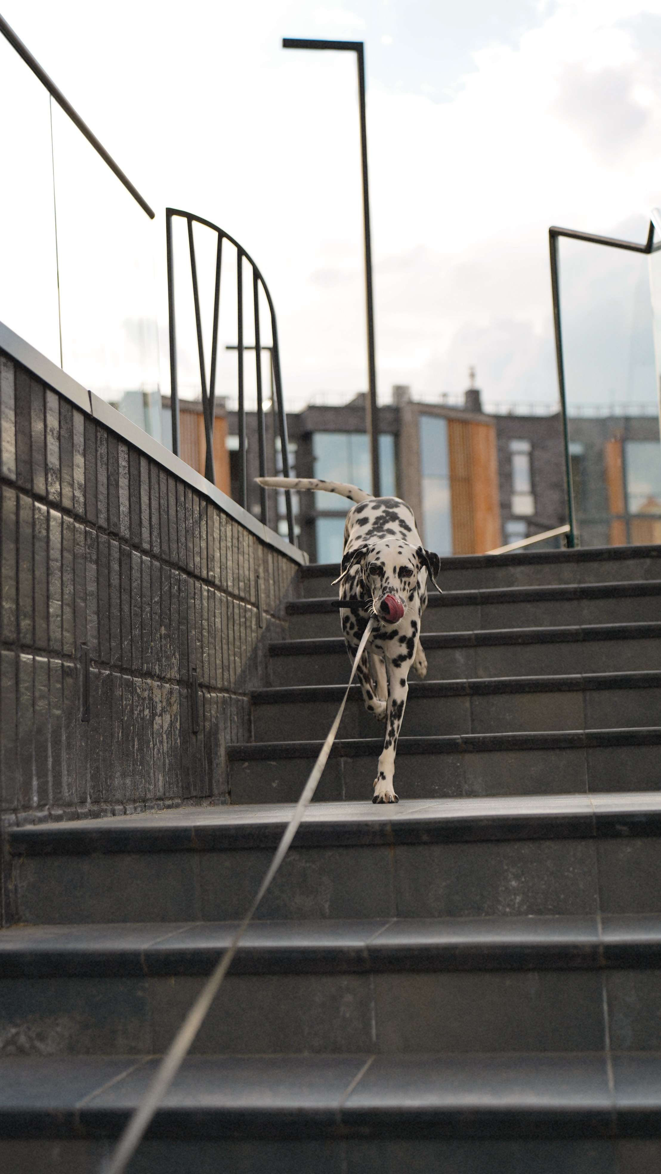 Уличная (Street). Главная