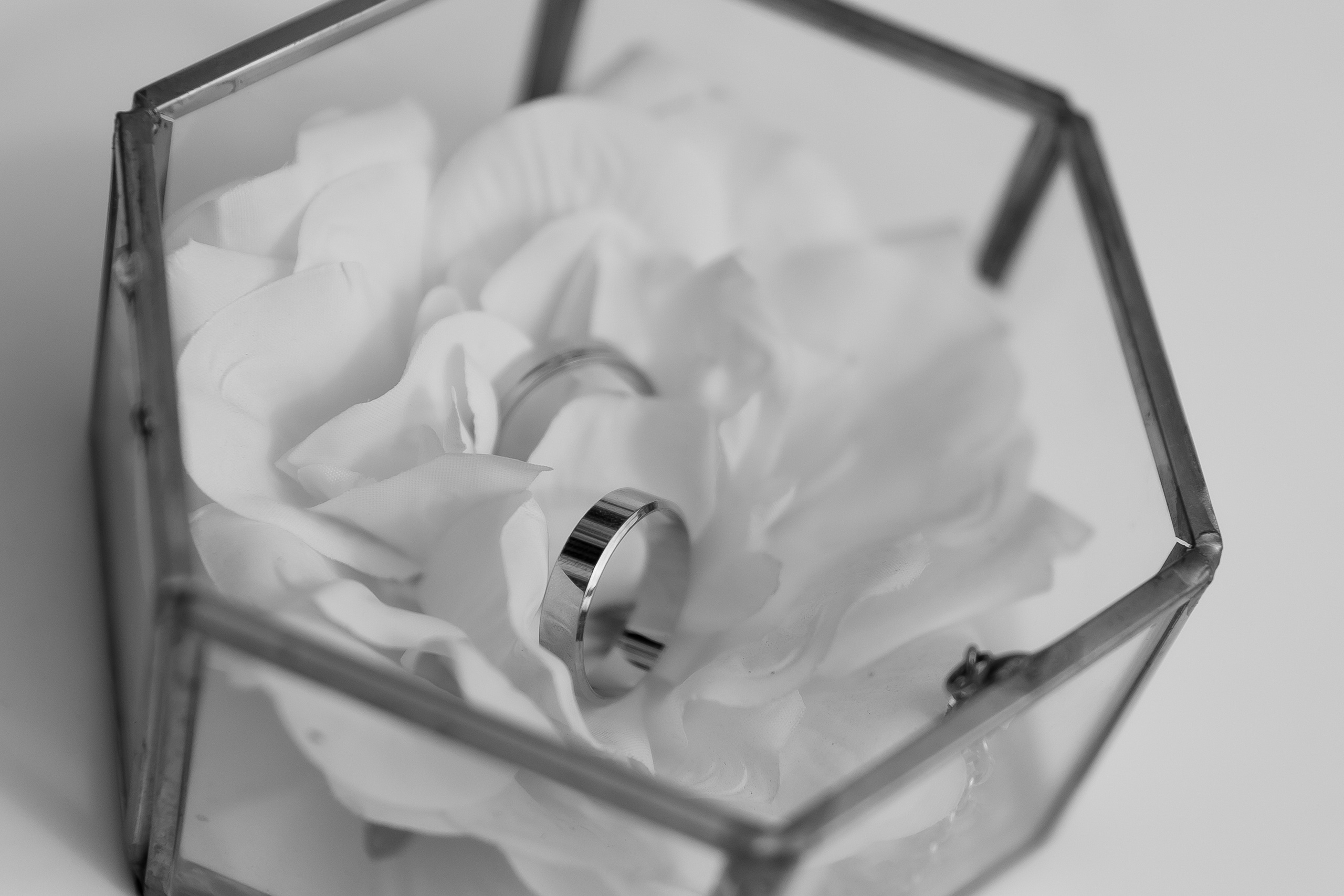 Саша и Софа. Свадебный и семейный фотограф в Новопавловске и КМВ Баканова Юлия