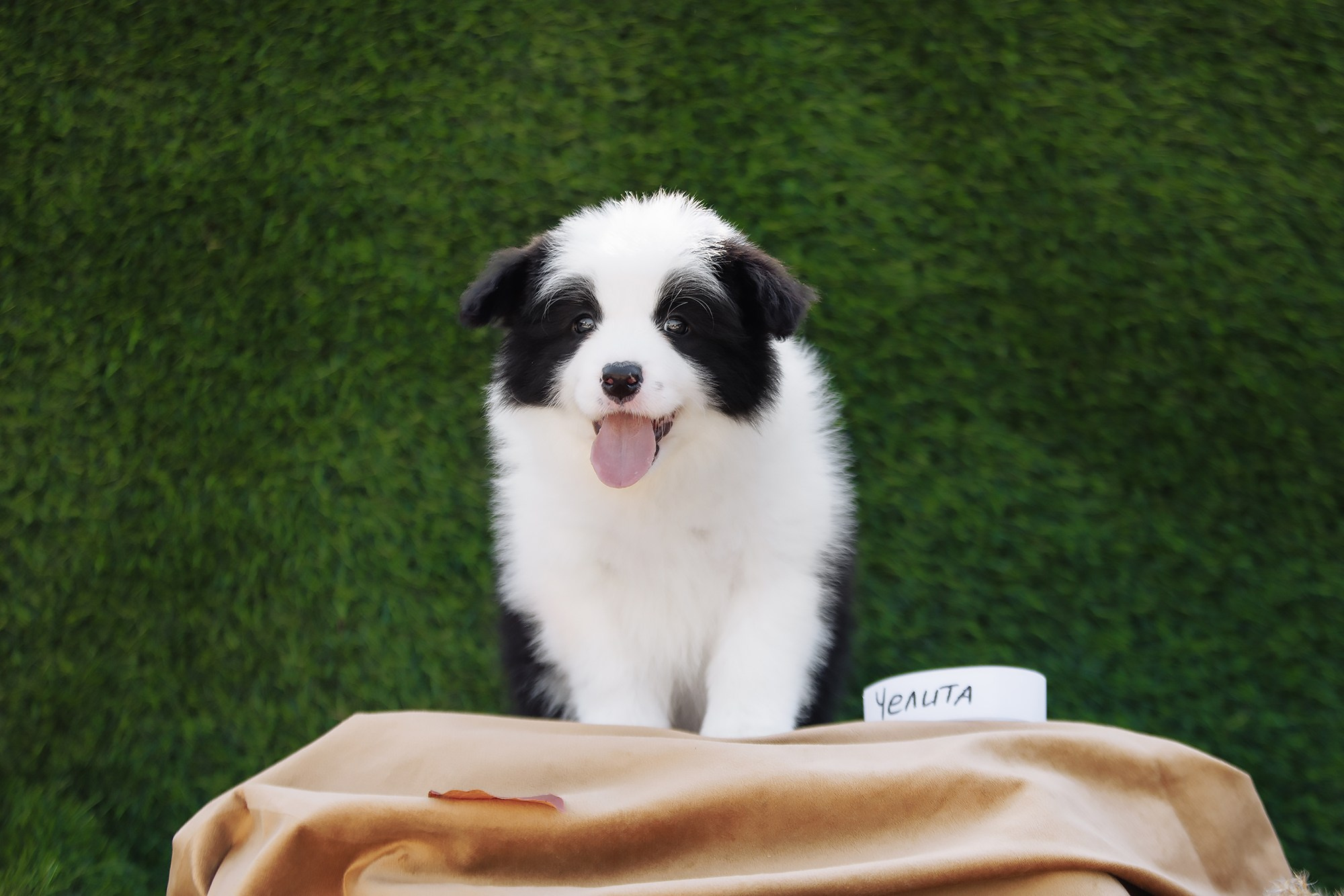 Новый лист. О нас