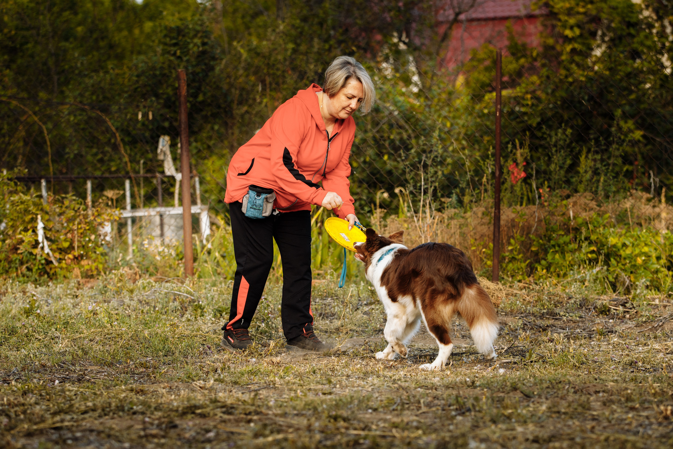 Овечий день. О нас