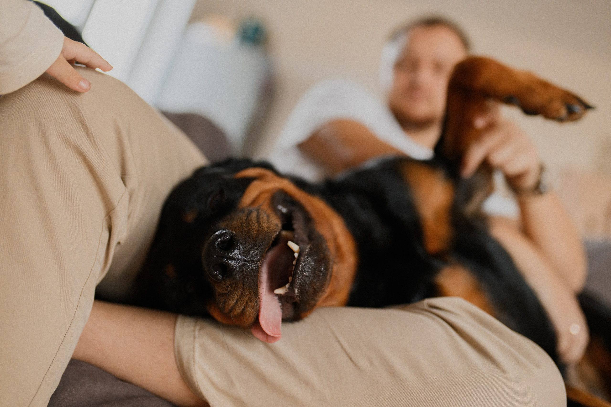 Семья Димы и Саши. 📸Портретный и репортажный фотограф | Красноярск | Поливода Дмитрий📸