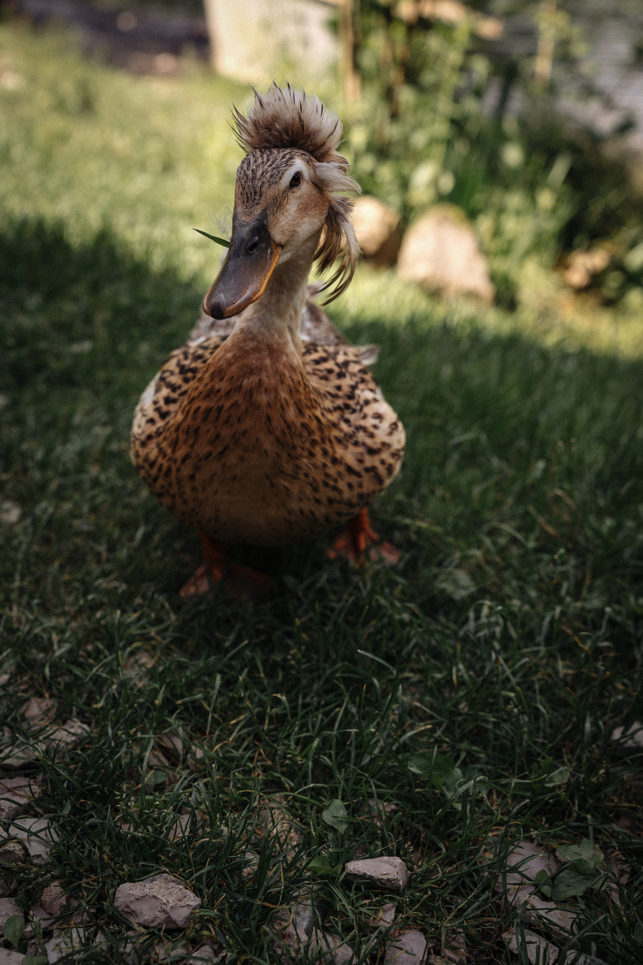 14. Фотограф Батуми | Ксения Кинасова