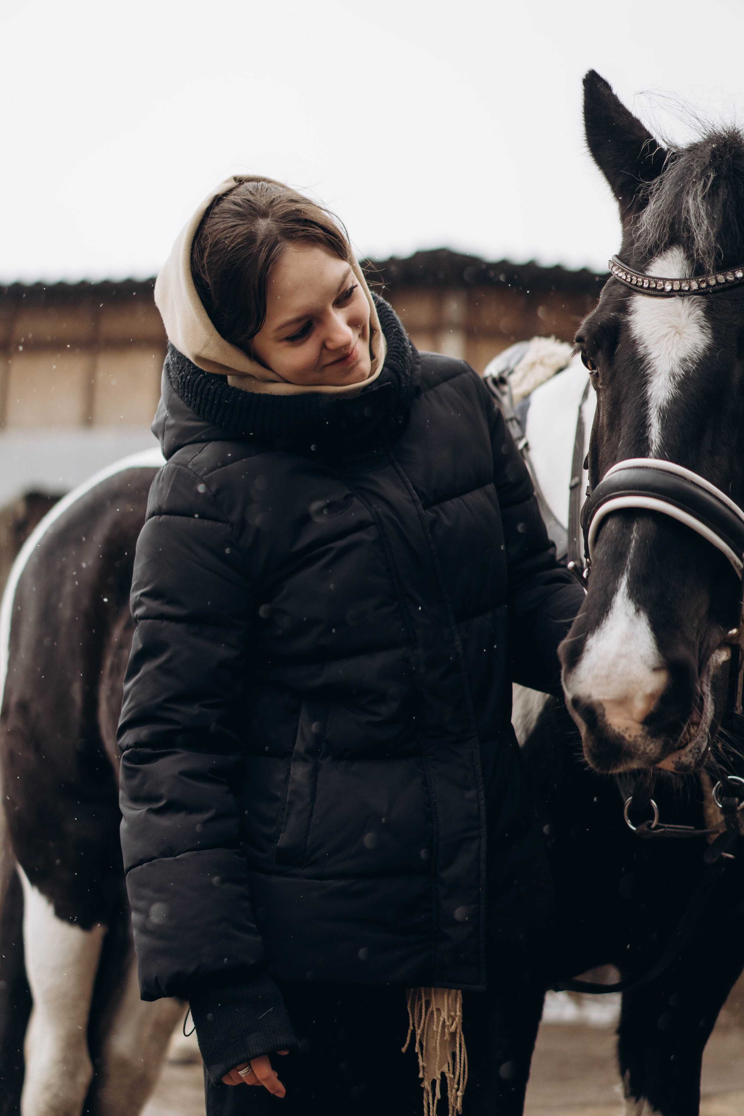 Конная прогулка. Фотограф Москва Валерия Веденина