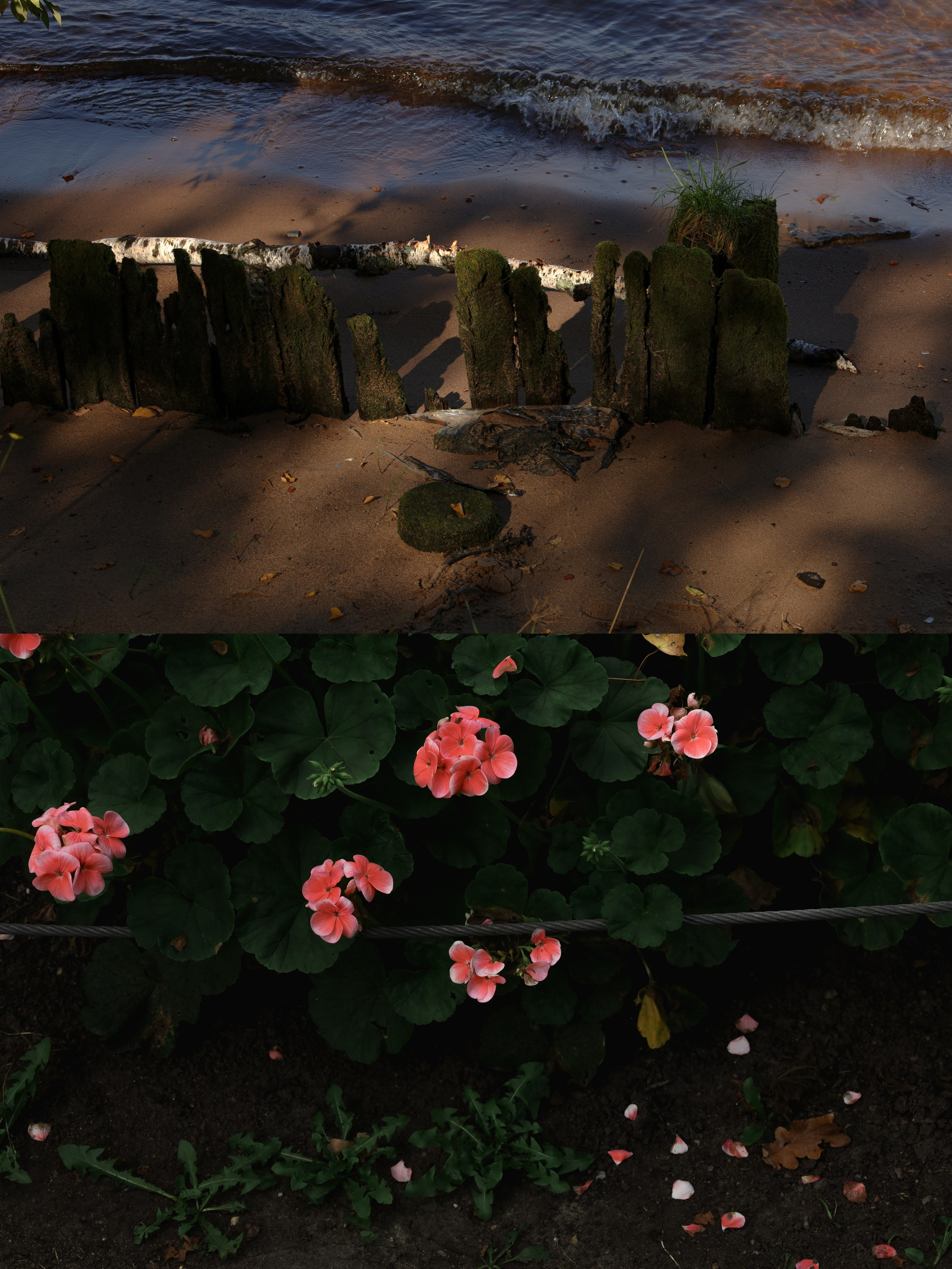 Природа &. Фотохудожник в СПб