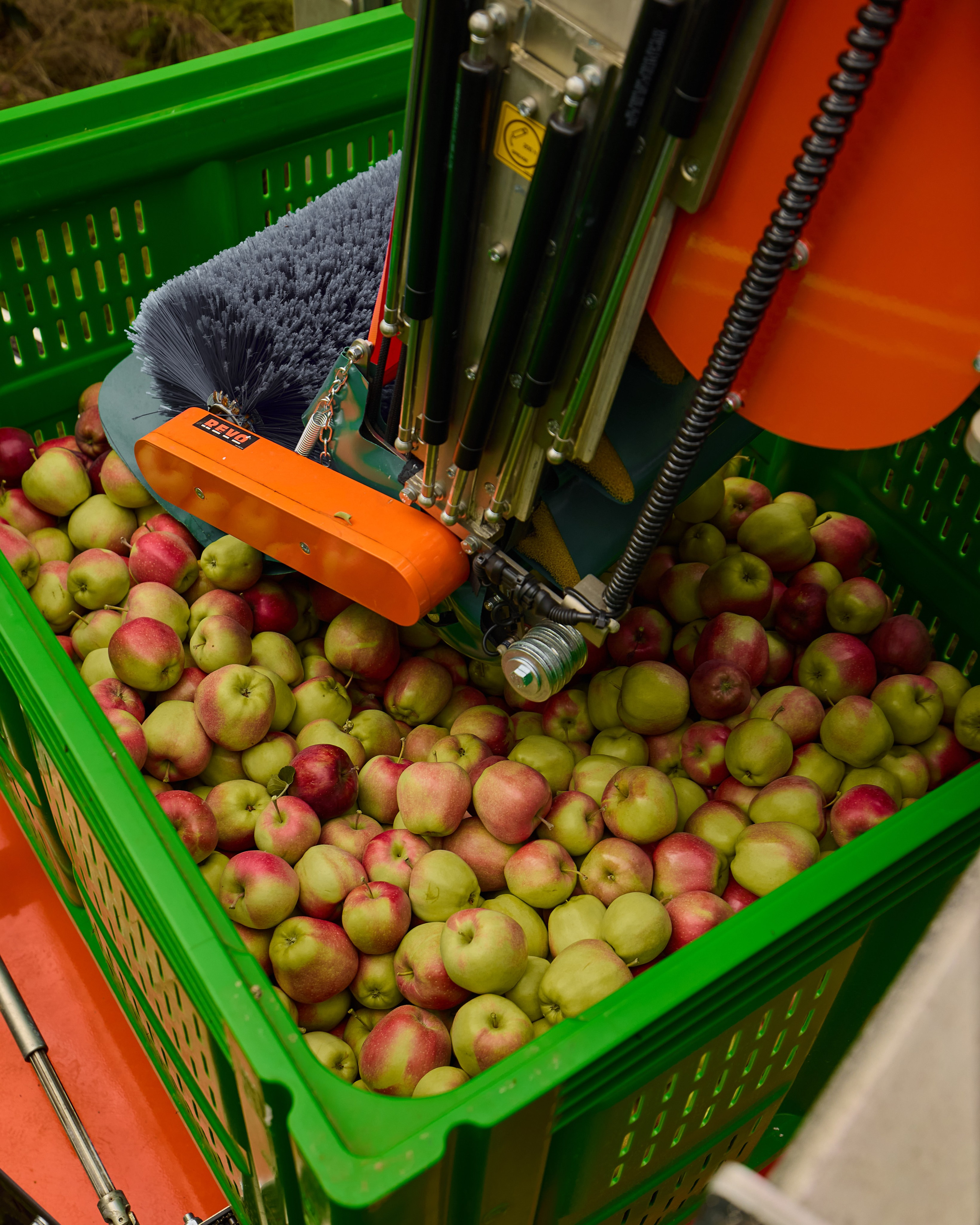 Собрано в саду. Святослав Лебедев | Рекламный фотограф — Коммерческая съемка, Арт-дирекшн, AI-интеграция